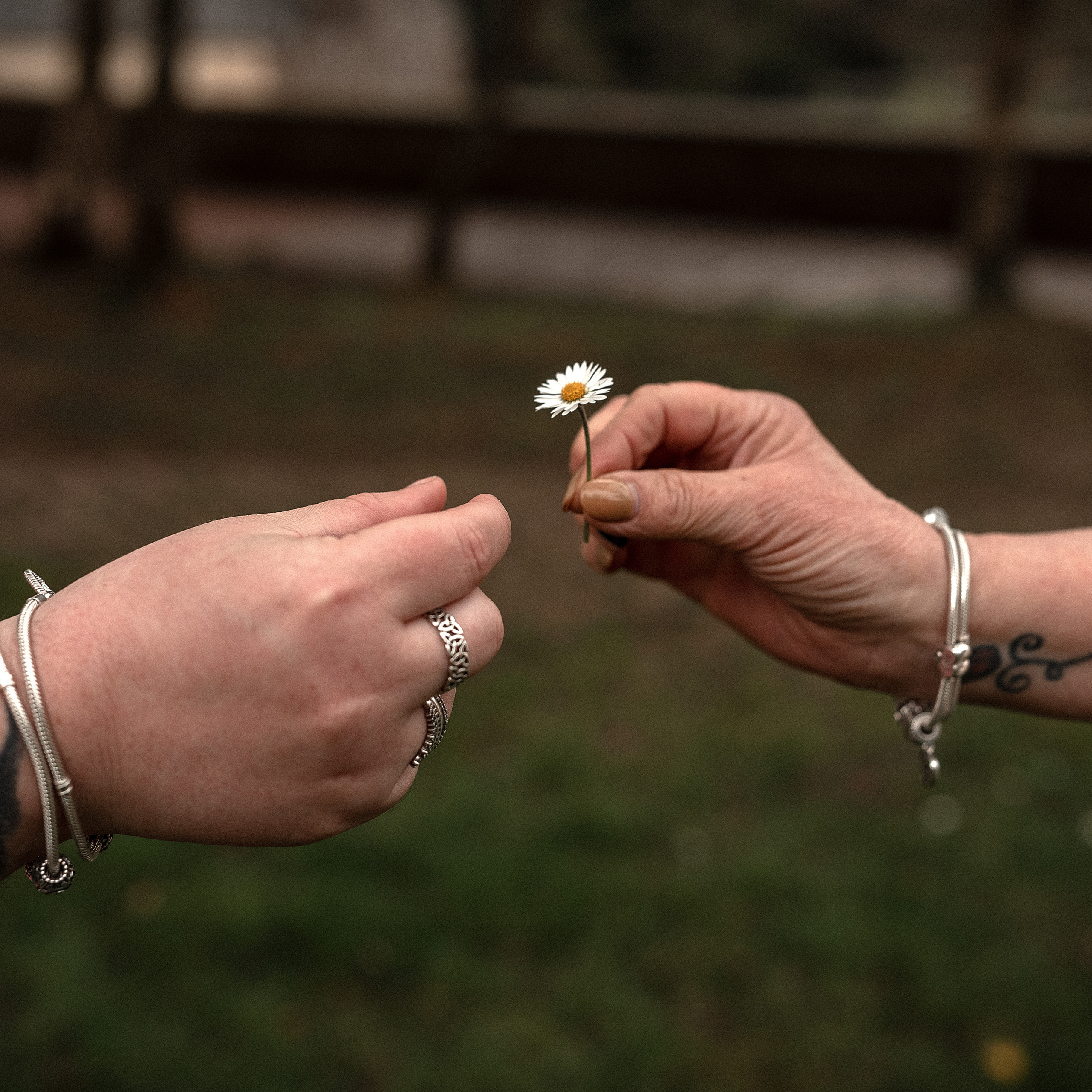 Testimonials. Portrait and Family photographer based in Larkhall Scotland