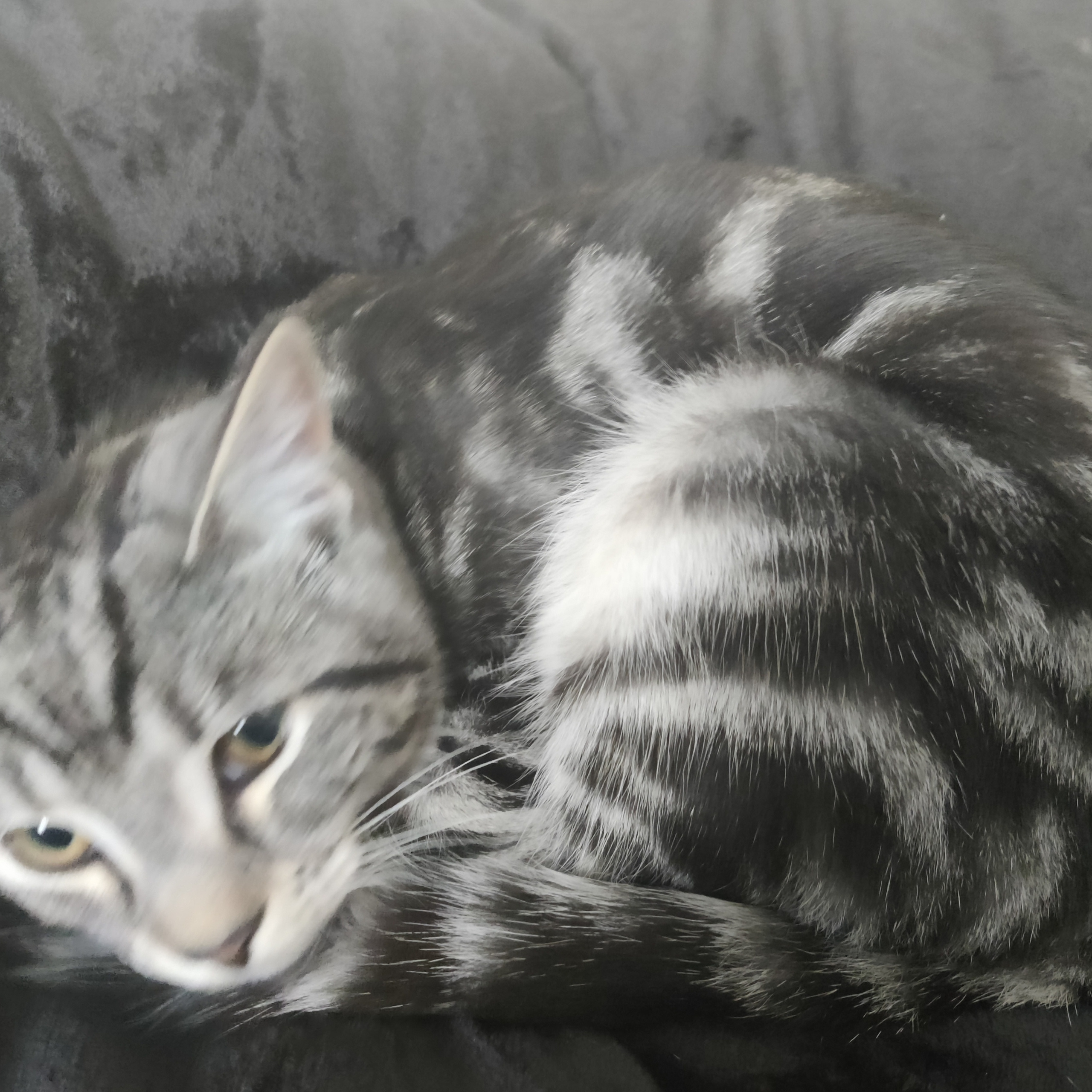 Testimonials. Portrait and Family photographer based in Larkhall Scotland