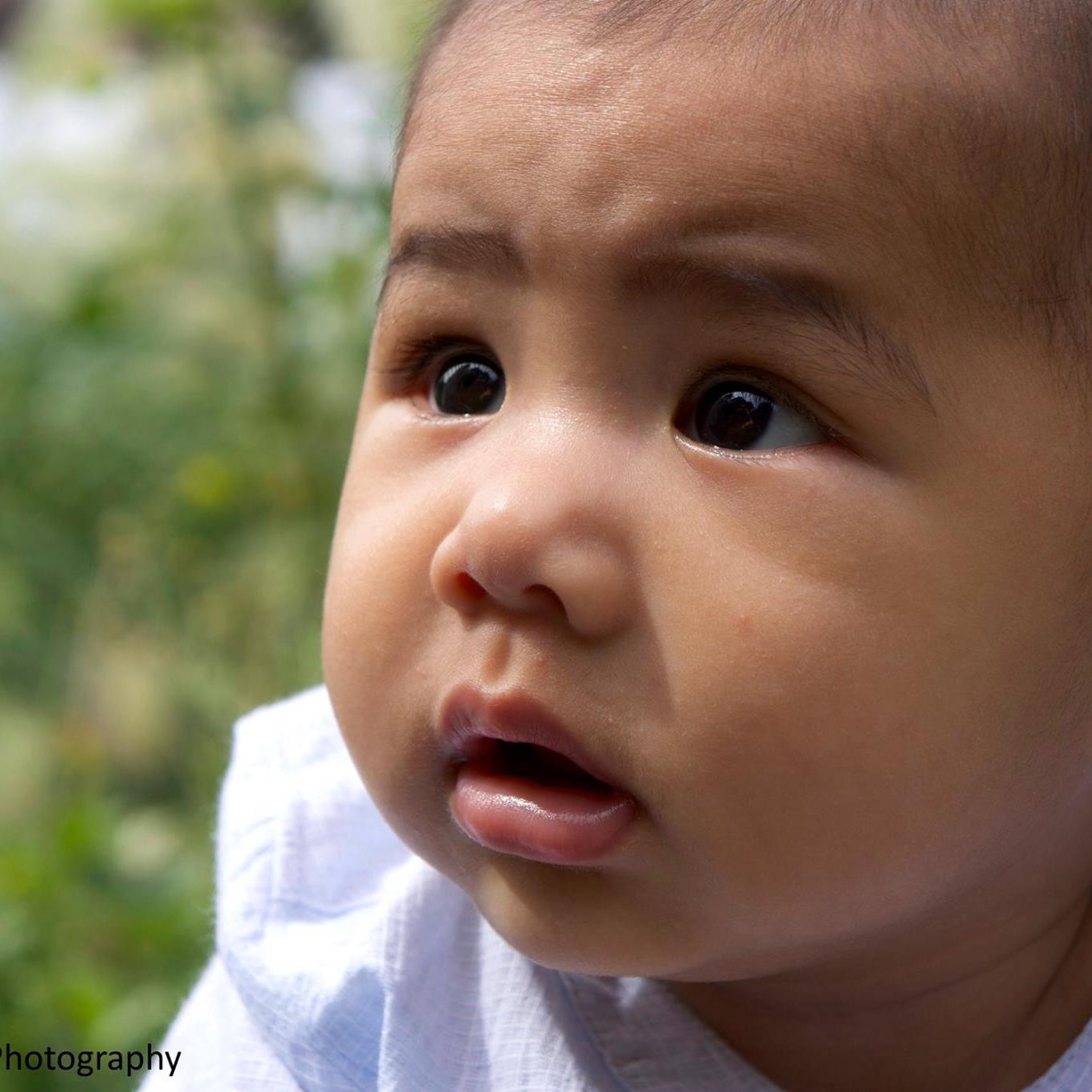 FEEDBACKS. PORTRAIT|FAMILY|CHILDREN|BRAND PHOTOGRAPHER UK, CAMBRIDGESHIRE