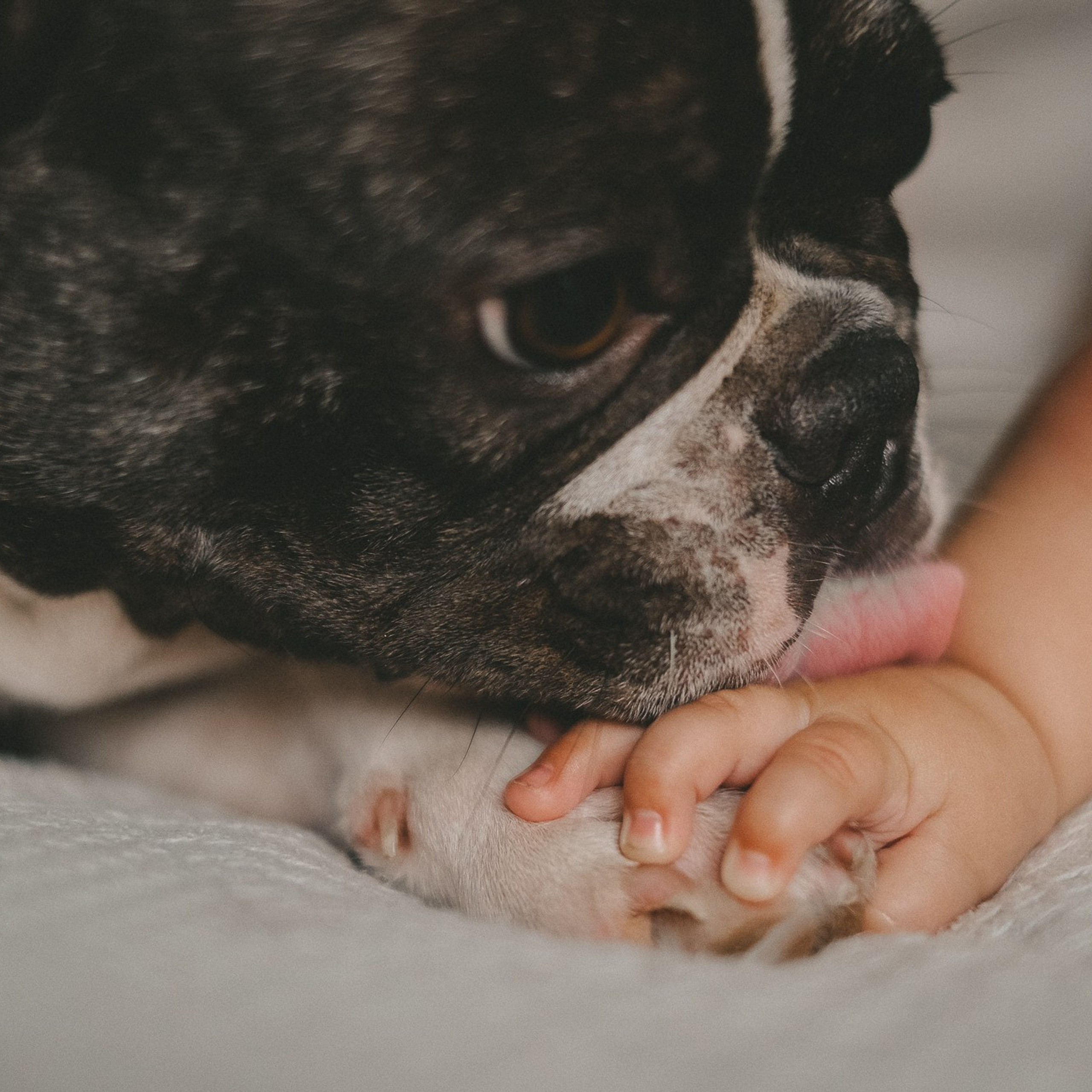 Familie. Eure authentischen Familien- & Newbornmomente –erzählt in Fotos & Videos