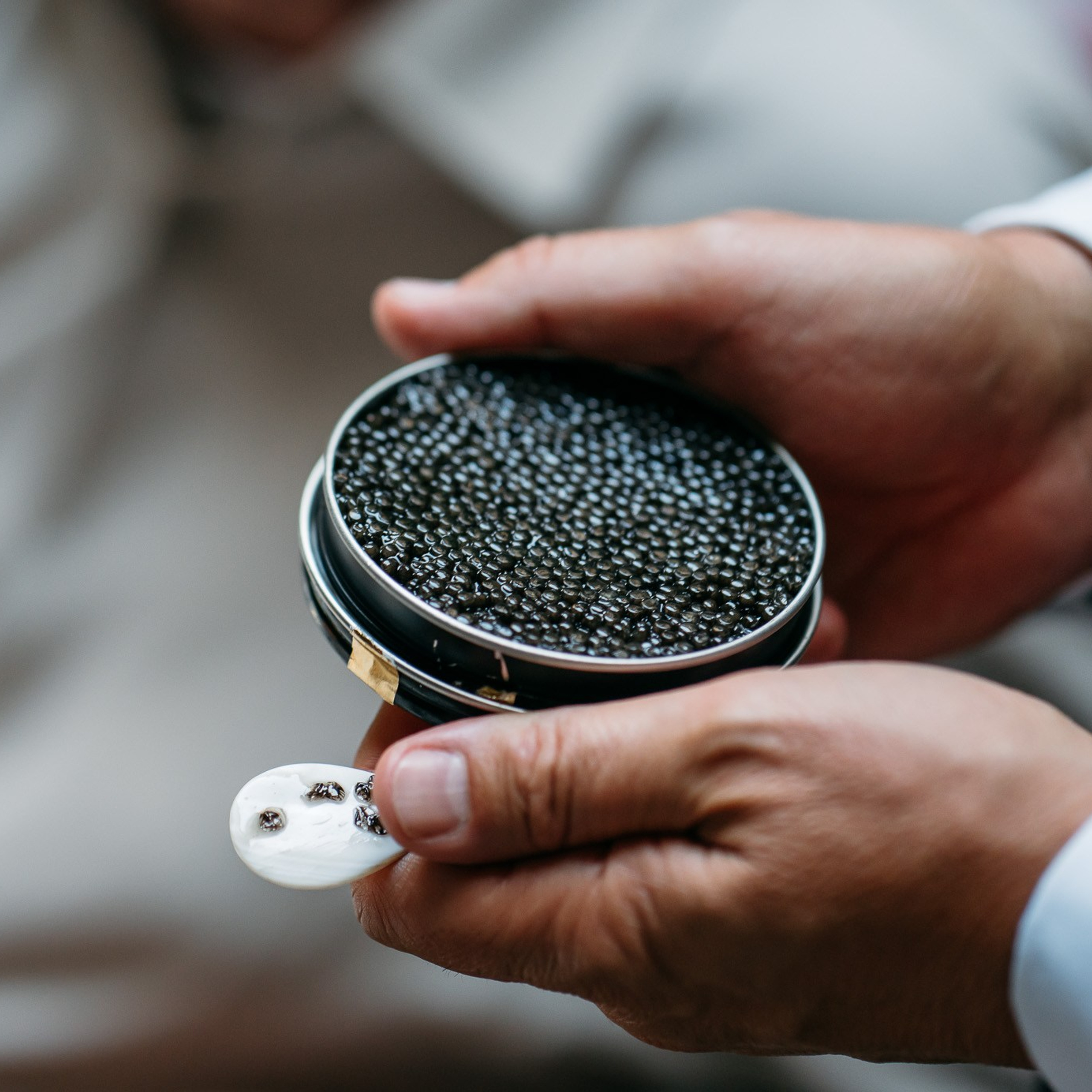 Calvisius La dolce Vita