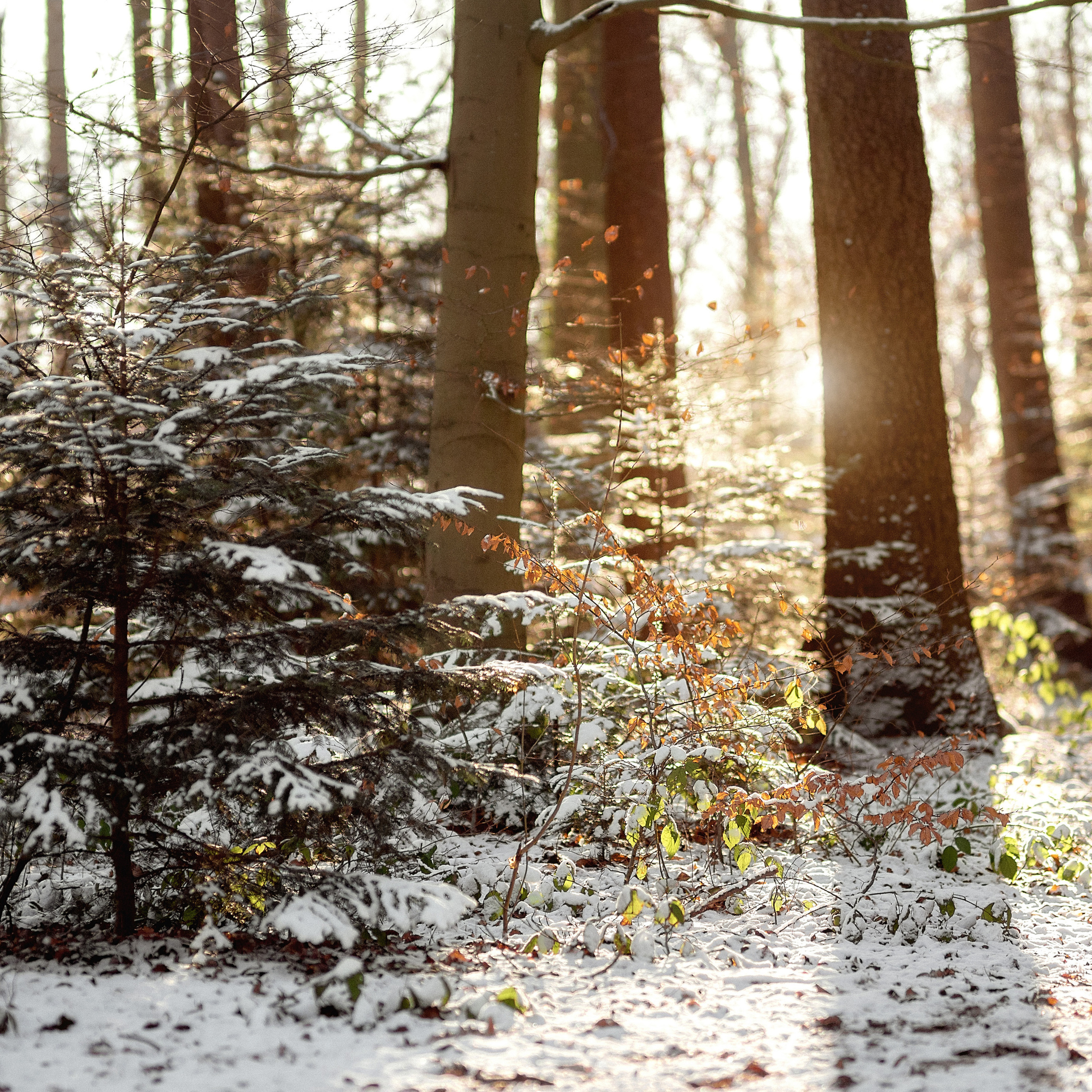 Familienfotograf in Hamburg Bewertungen. Familienfotograf, Hochzeitsfotograf in Hamburg und Umgebung