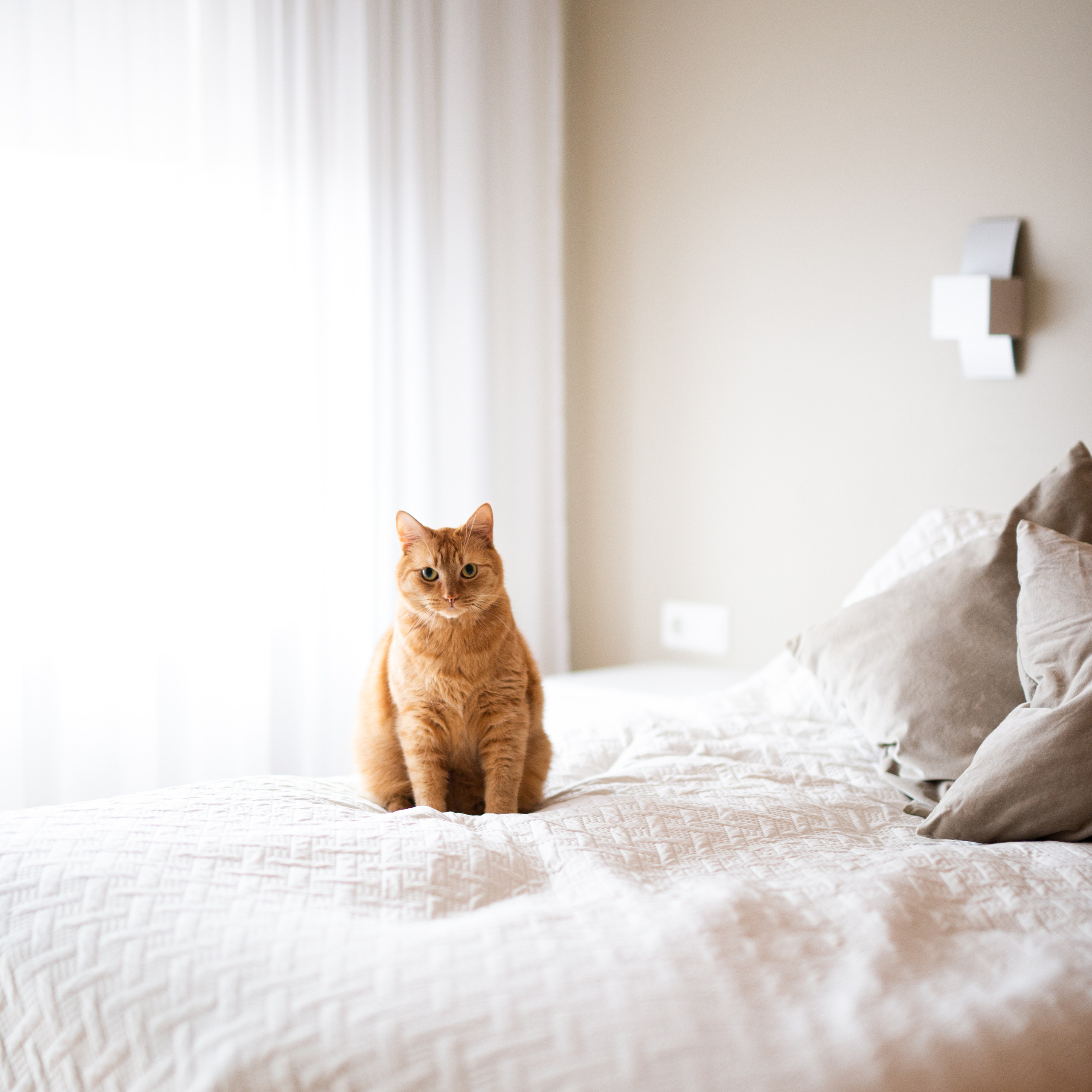 Family. Michalina Dzianach Wedding Photographer Iceland