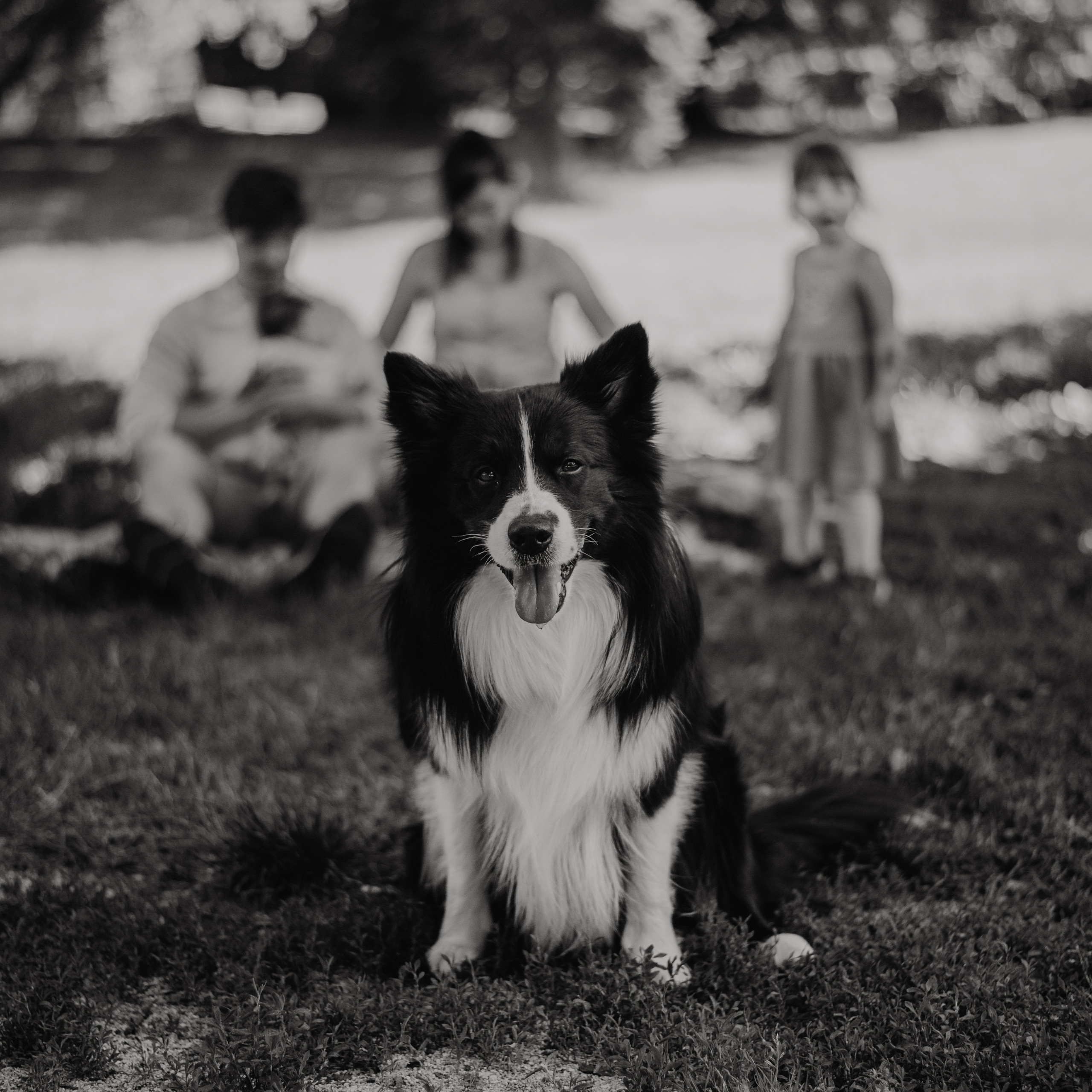 Katka, Pavel, Tonik, Viki, Riley