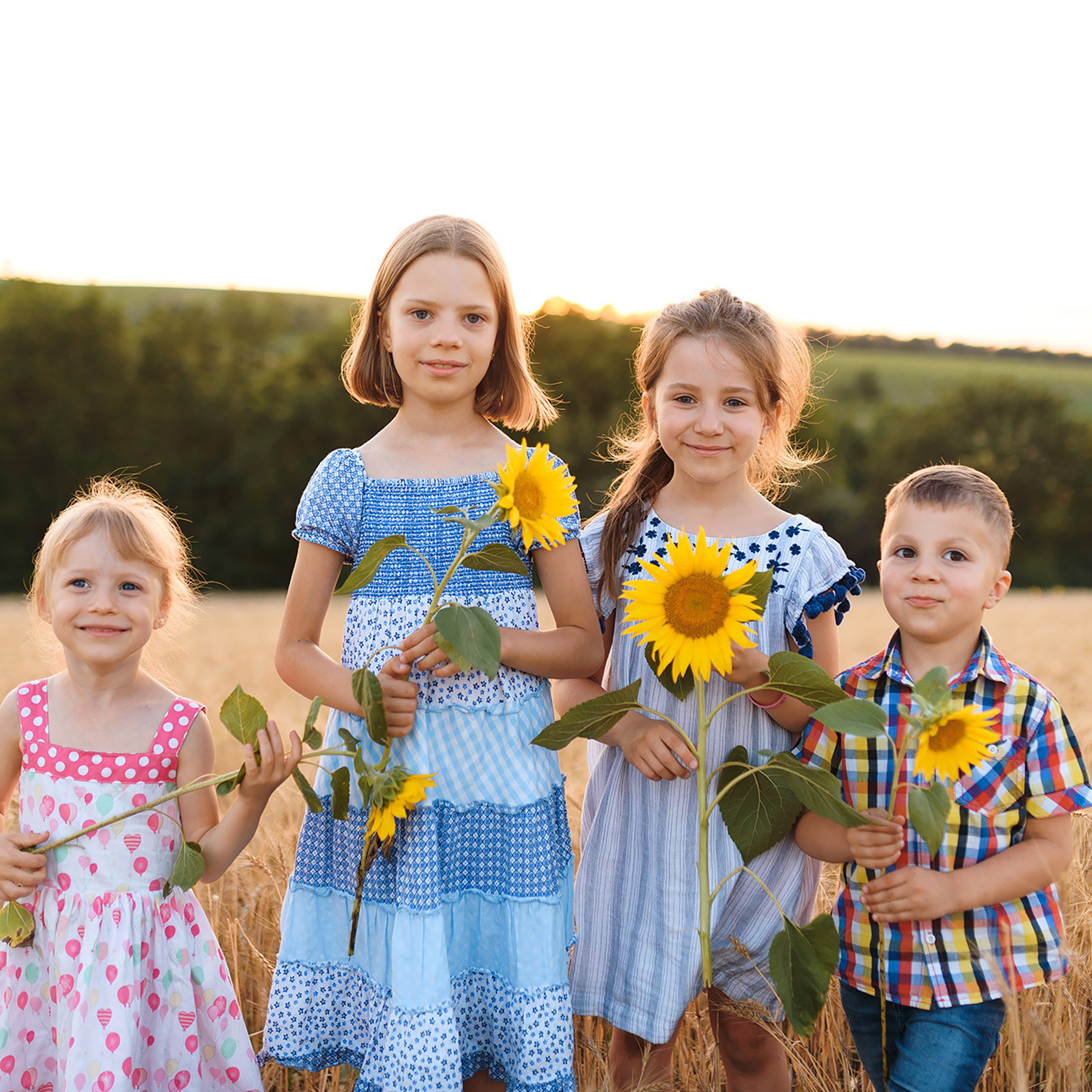 Пшеничное поле