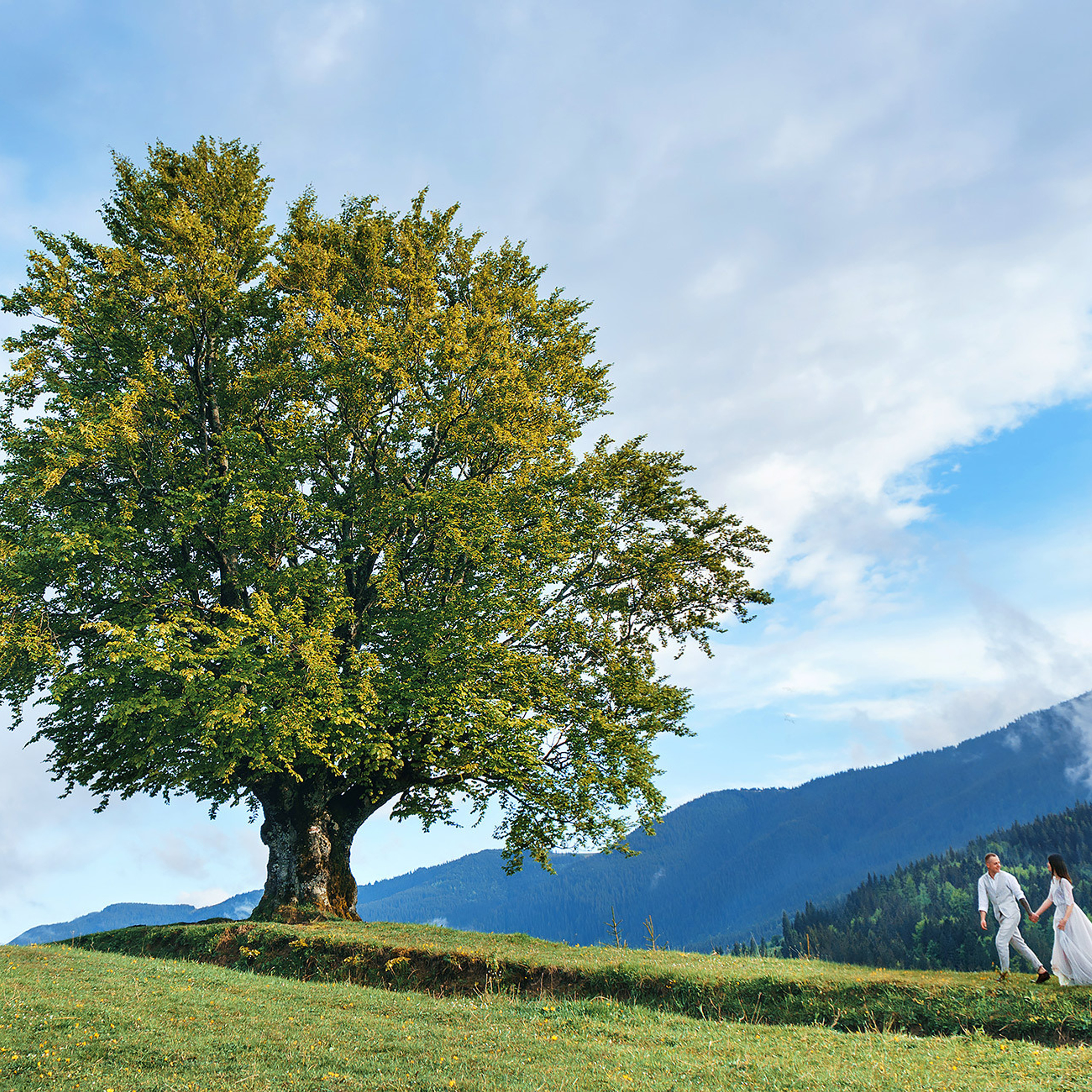 История любви