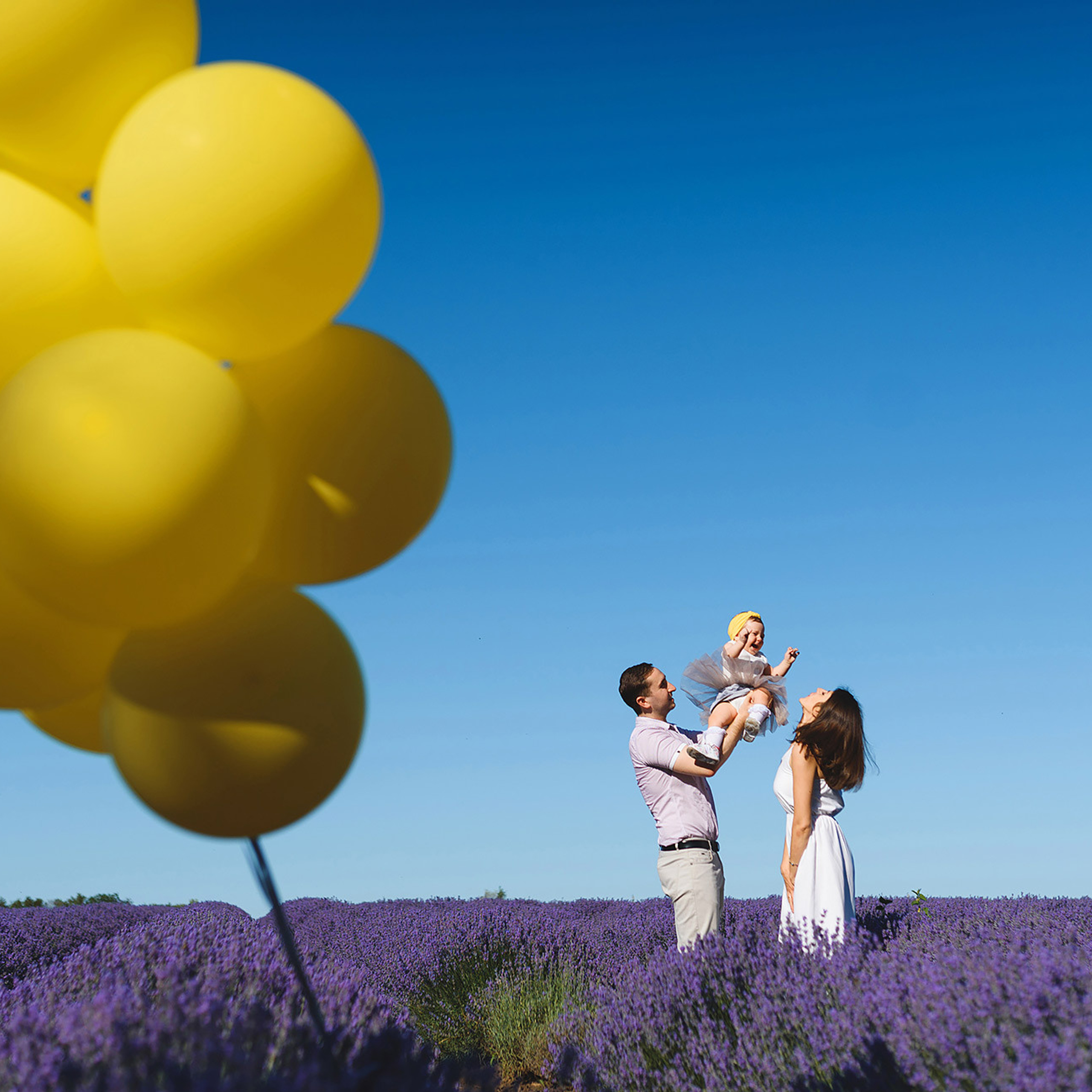 Лавандовое поле