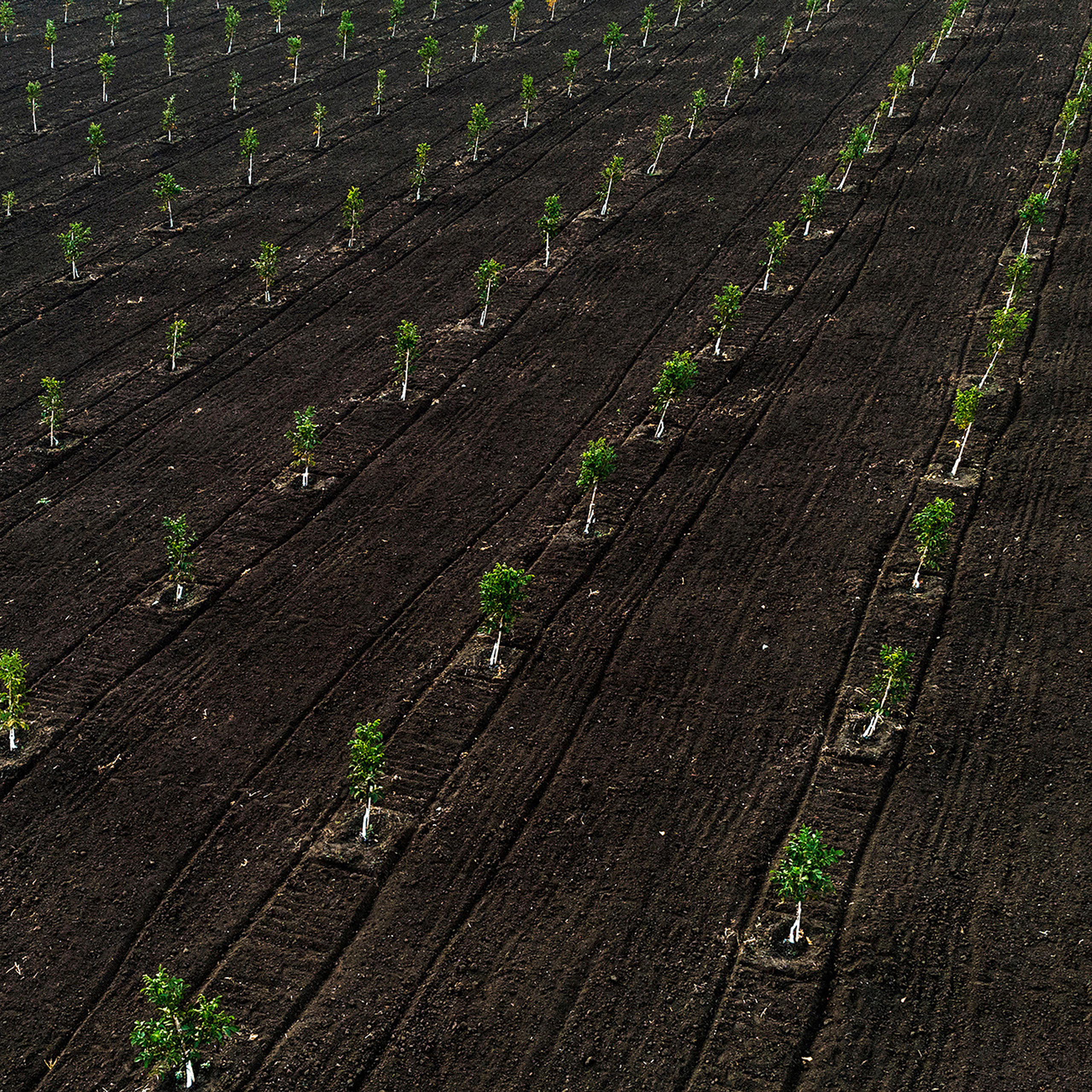 Рекламная фотосъемка