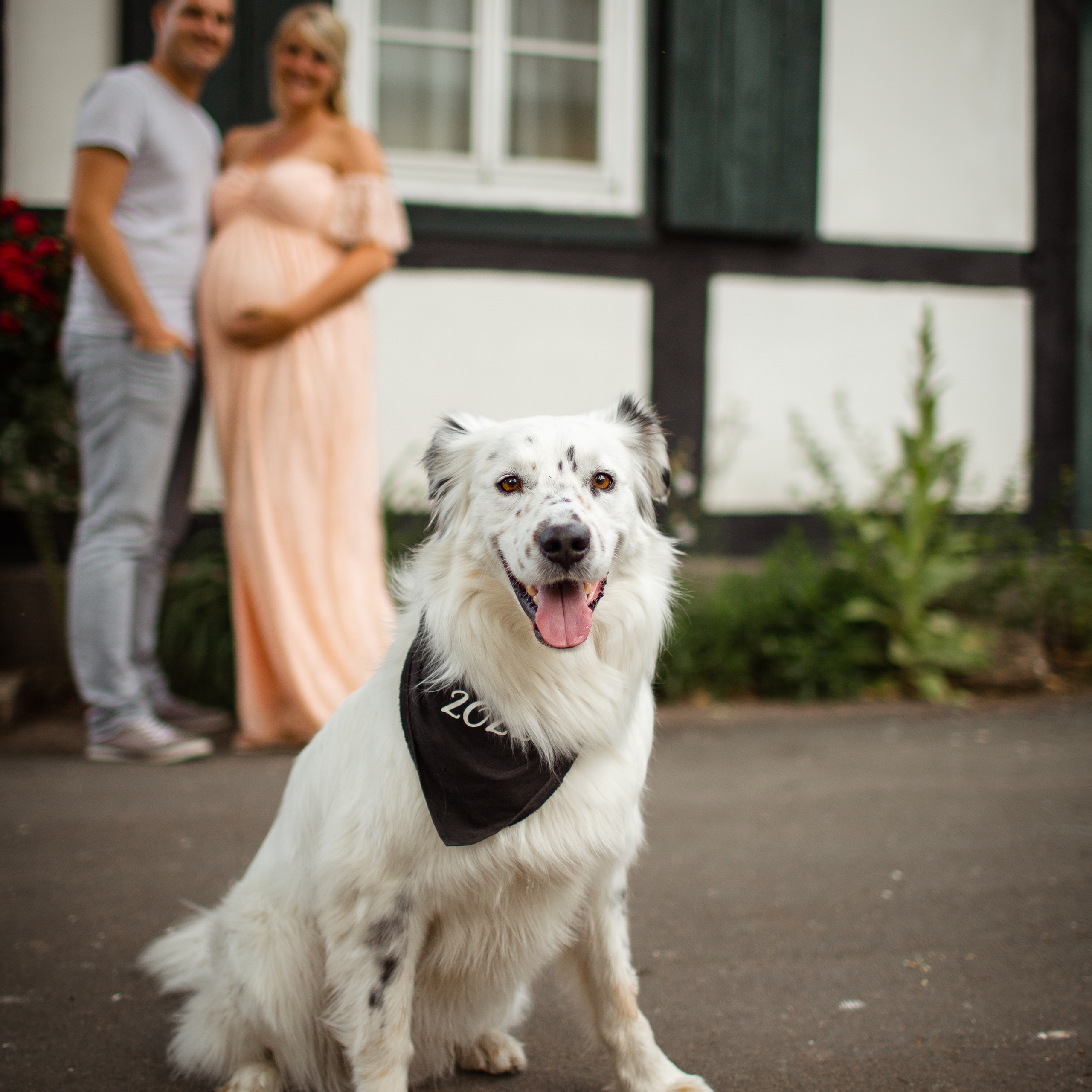 Feedback. Photo & Make-up Galina Neuberger. Fotografin & Vigasistin aus Bohmte