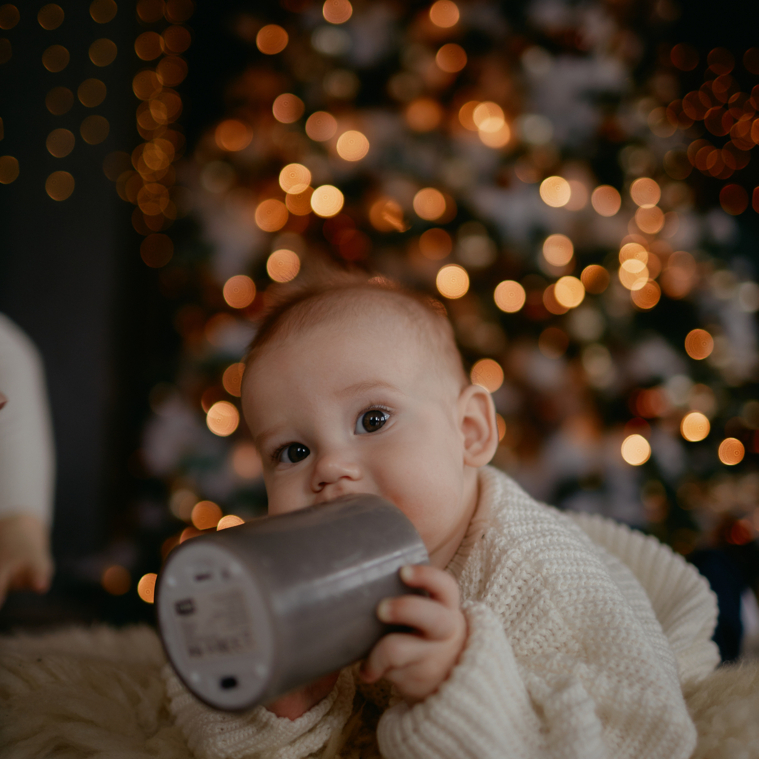 Сергей и Вероника