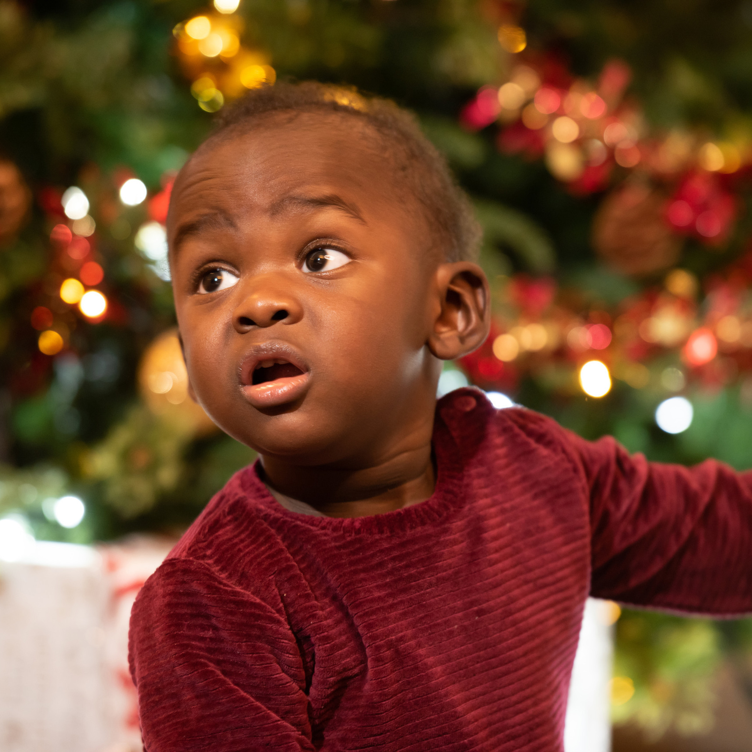 Reviews. Wedding, Maternity, Family photographer in Chingford London