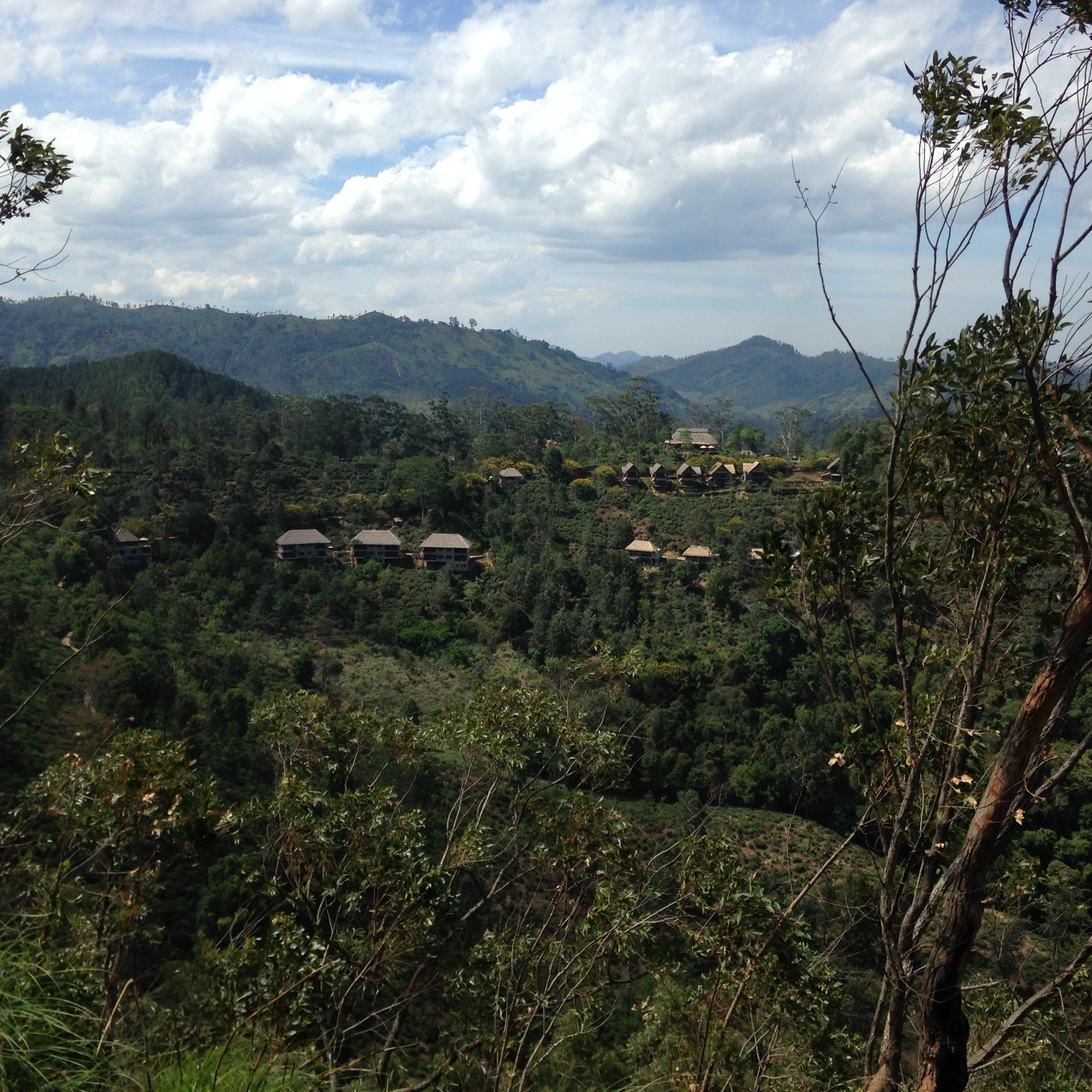 Sri Lanka — Maldives. Milok et Kirok sont des gens positifs et réels. Nous serons ravis de v