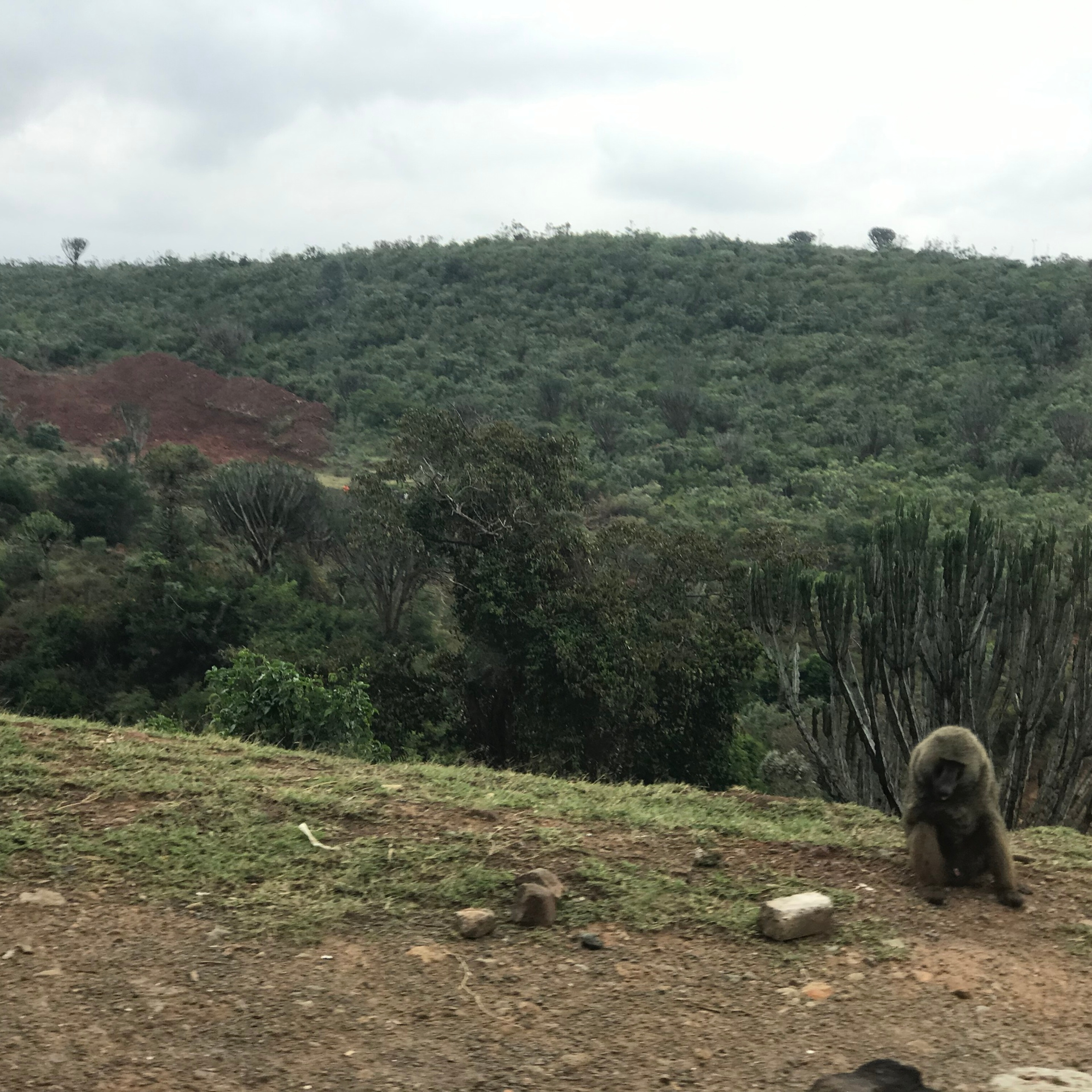ВАШИ ОТЗЫВЫ. Милок и Кирок это позитивные и реальные персоны из Люксембурга, много