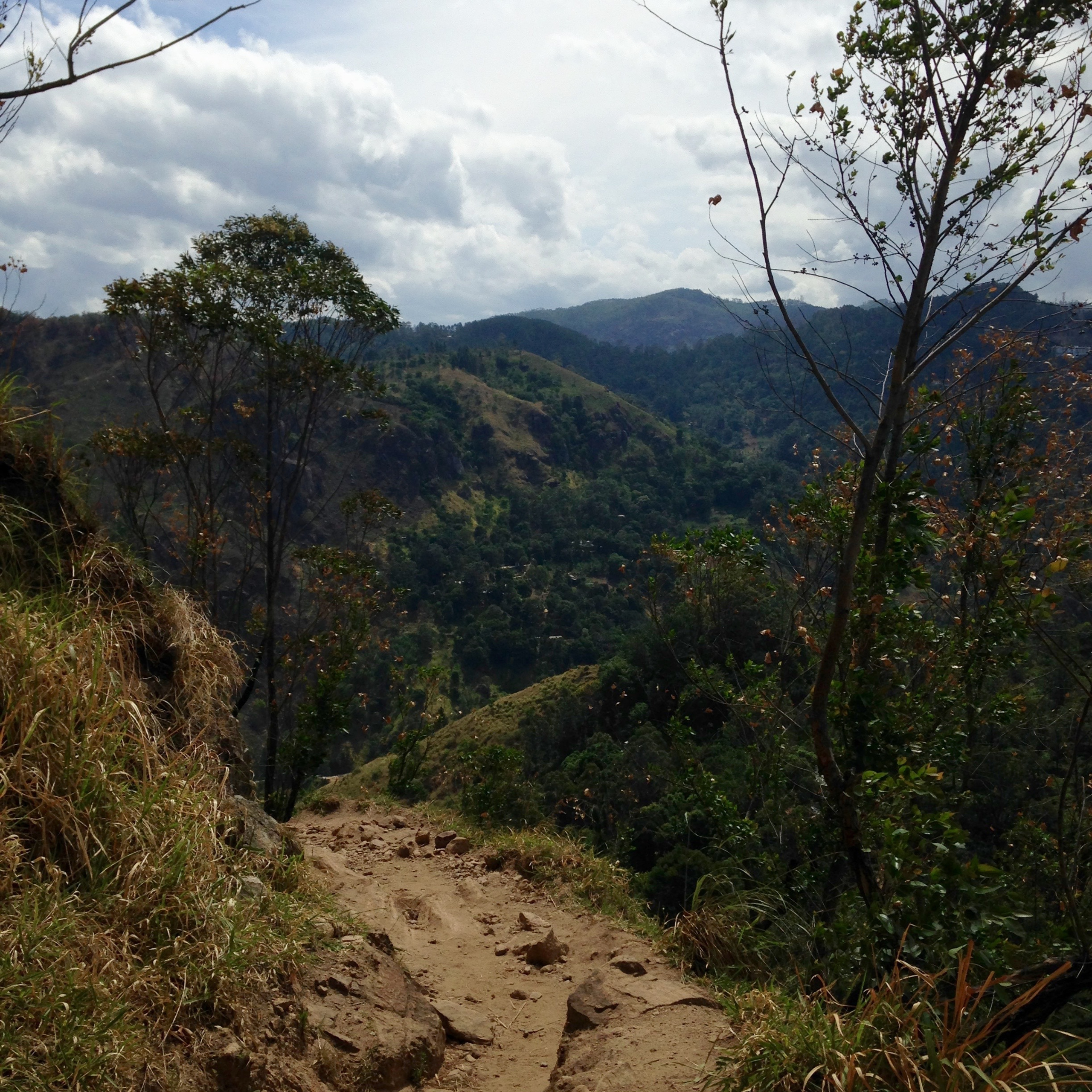 Sri Lanka — Maldives. Milok et Kirok sont des gens positifs et réels. Nous serons ravis de v