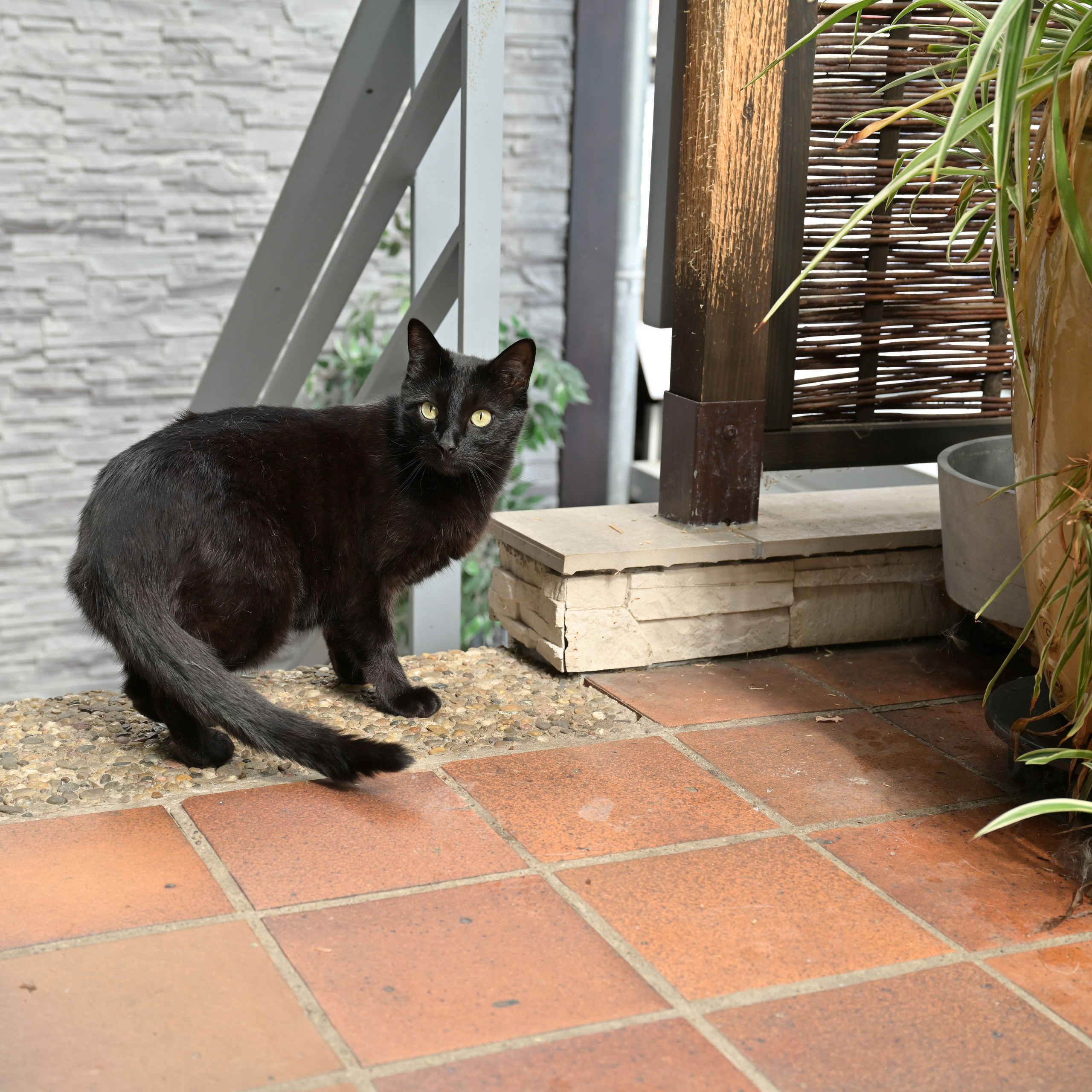 ВАШИ ОТЗЫВЫ. Милок и Кирок это позитивные и реальные персоны из Люксембурга, много