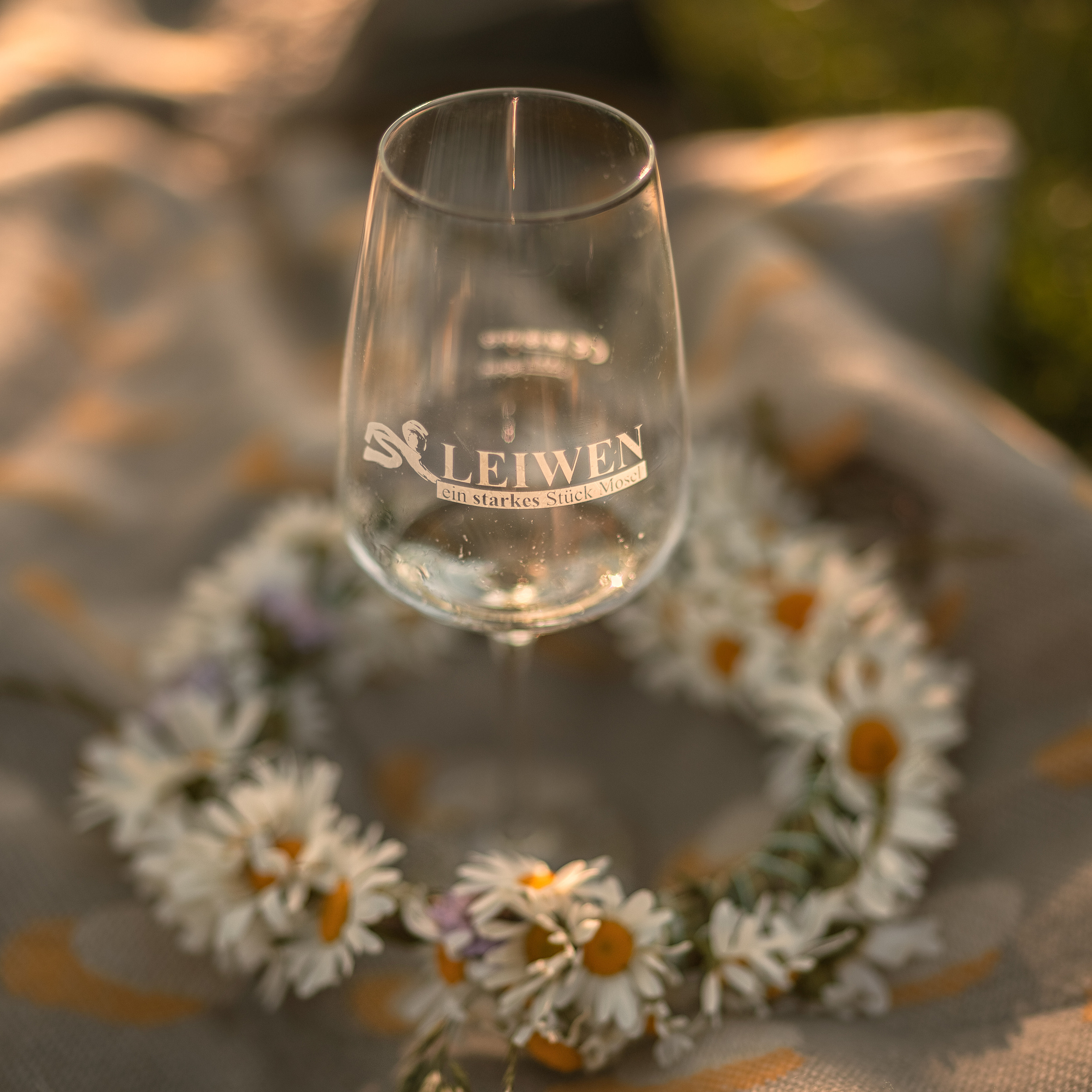 Летний пикник