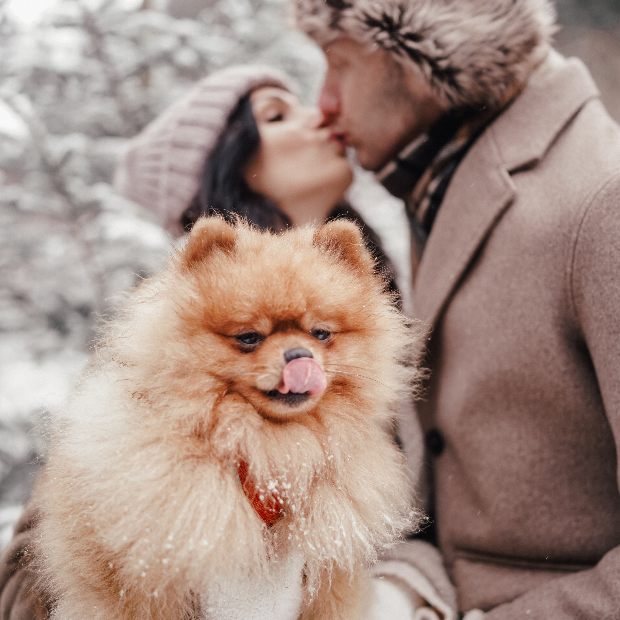 Katya, Egor and furry Filyusha
