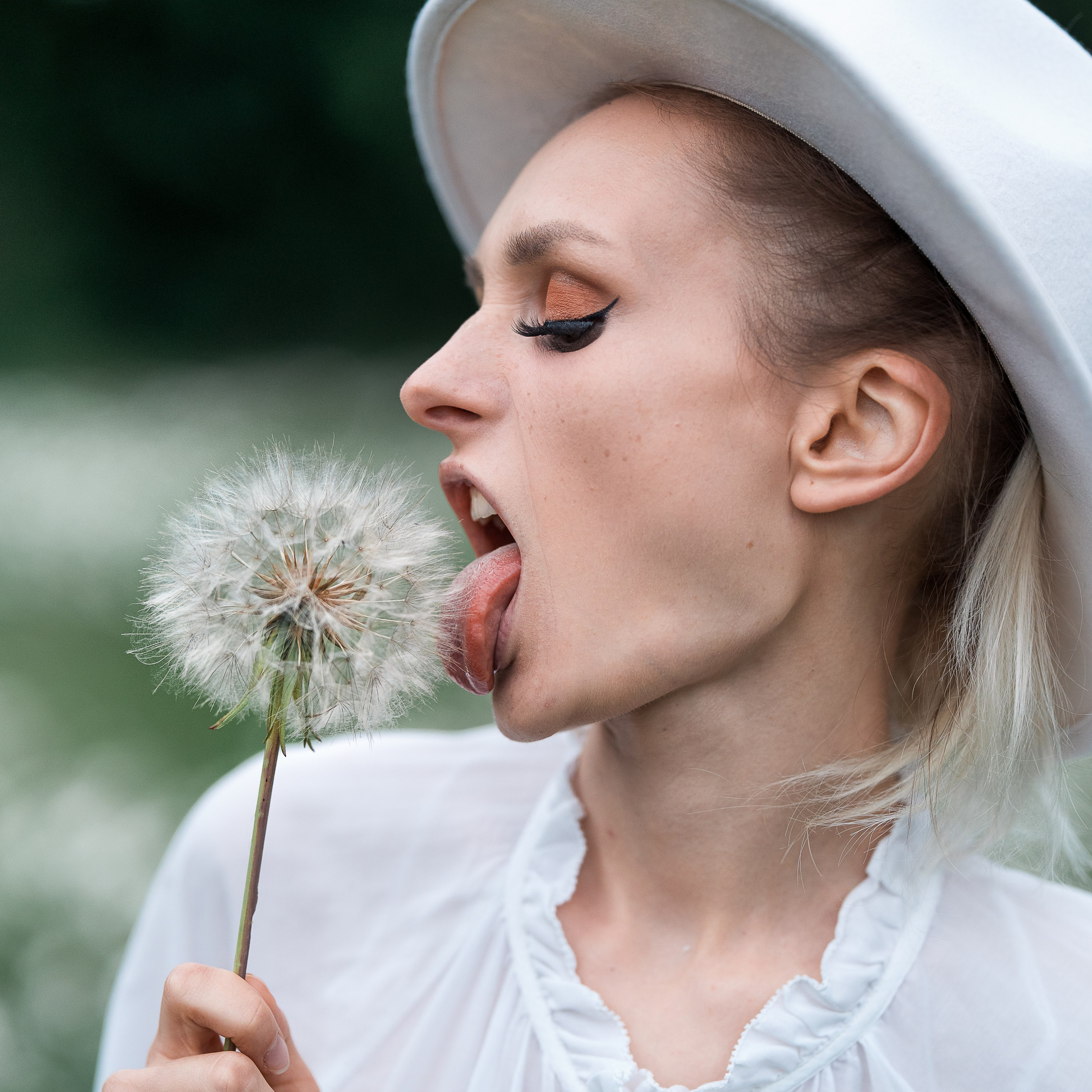Poppyflowers.Dandelions.Daisies.