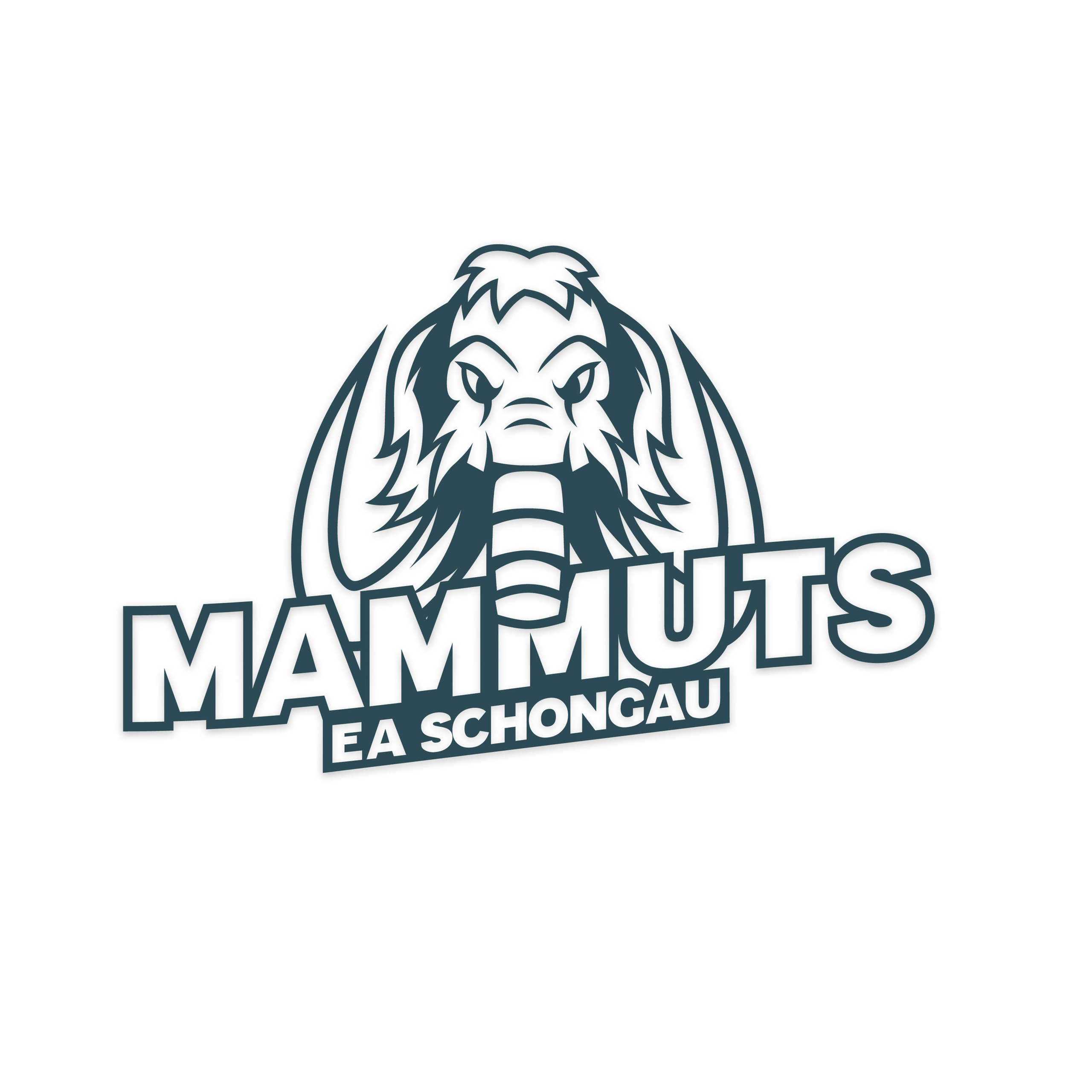 Referenzen. Ich bin Max, Designer, Art & Hochzeitsfotograf aus Germaringen