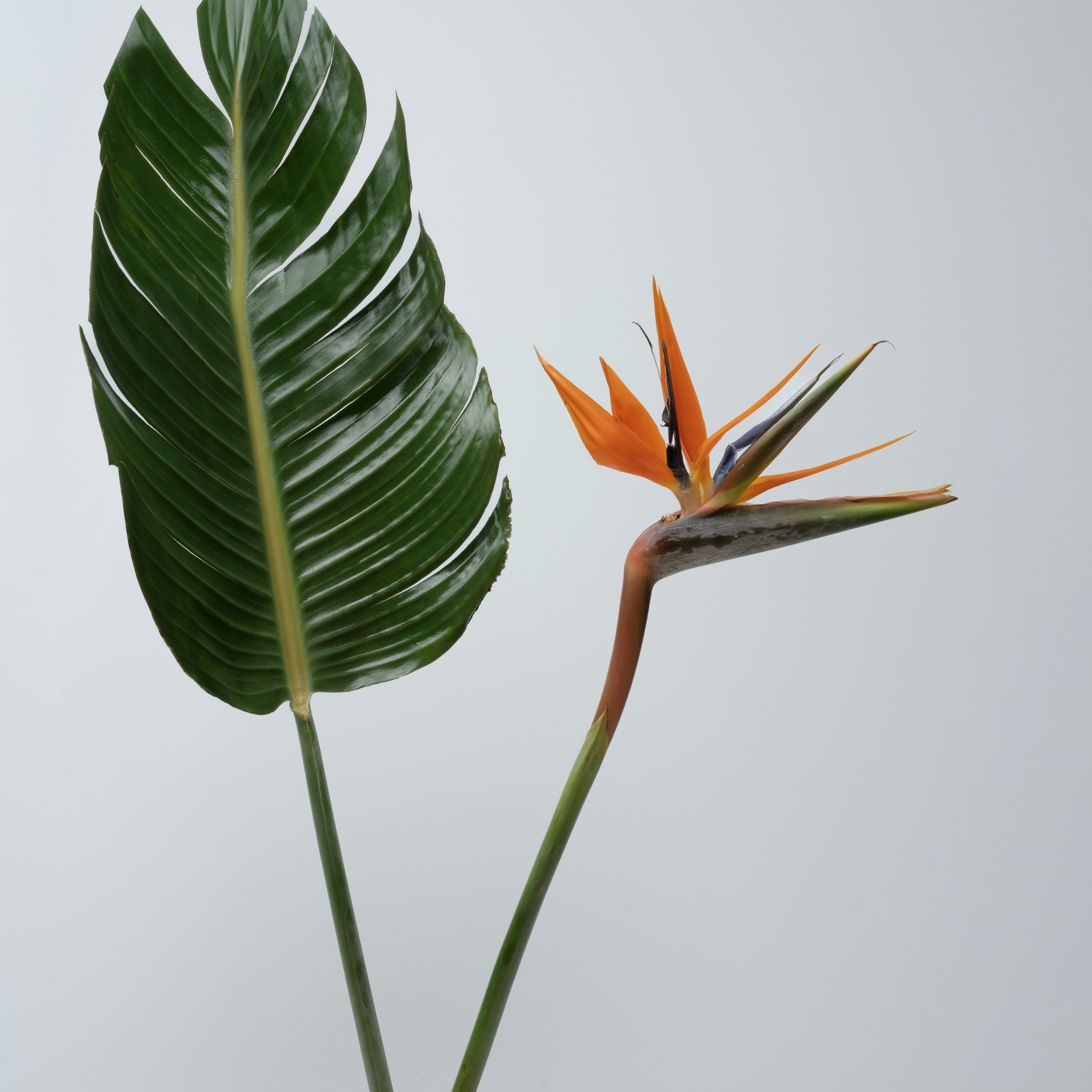 B e w e r t u n g e n. Beauty Studio Perfekto