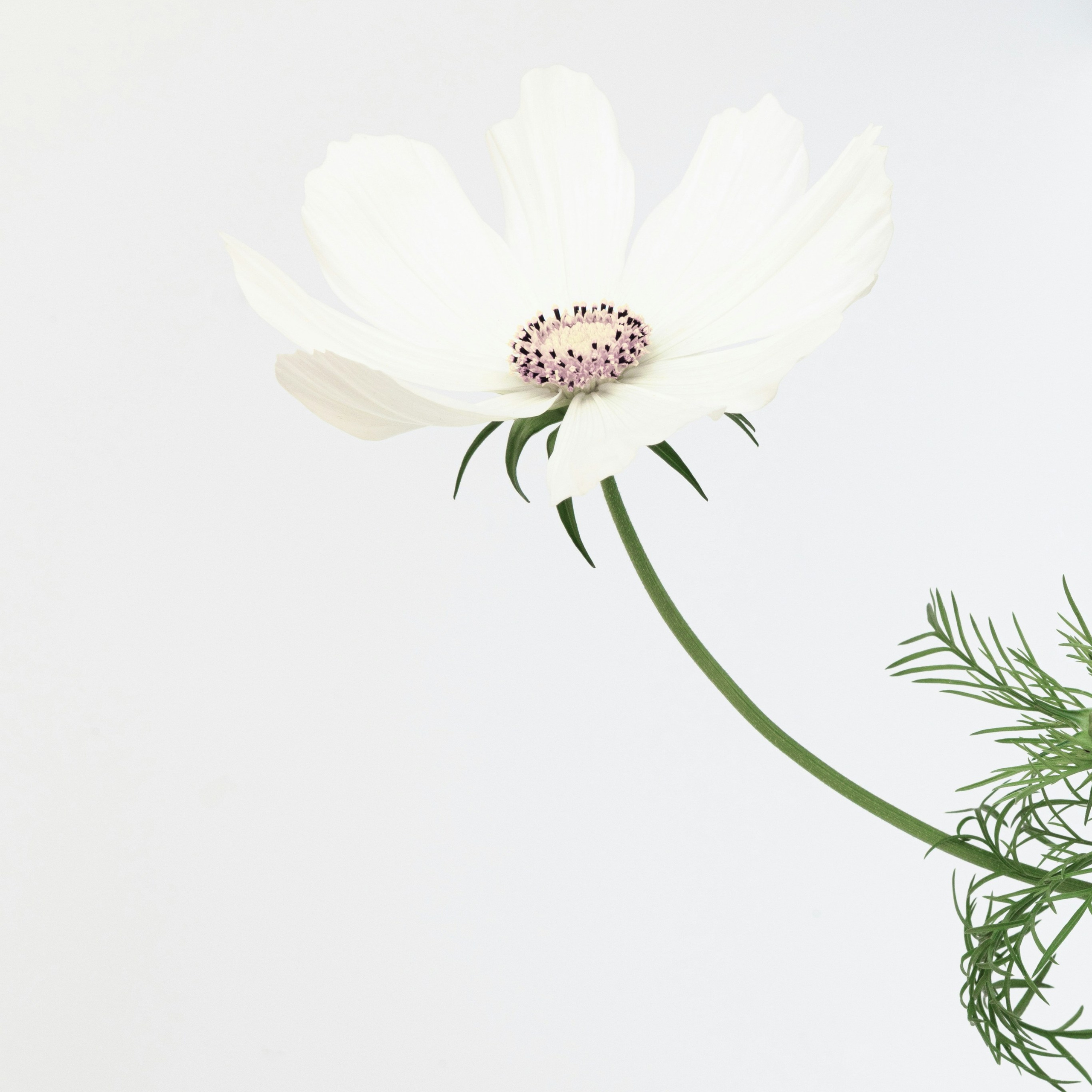 B e w e r t u n g e n. Beauty Studio Perfekto