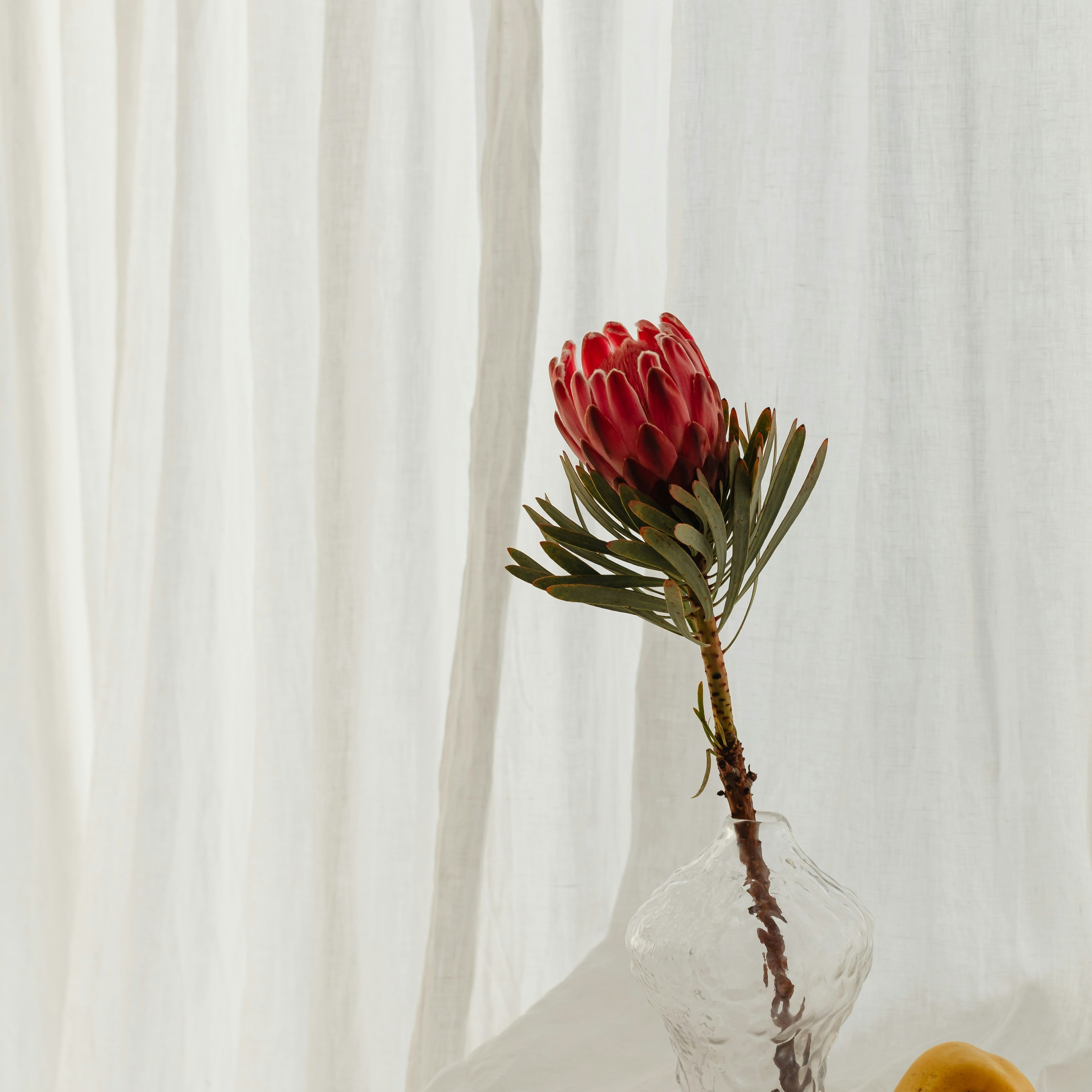 B e w e r t u n g e n. Beauty Studio Perfekto