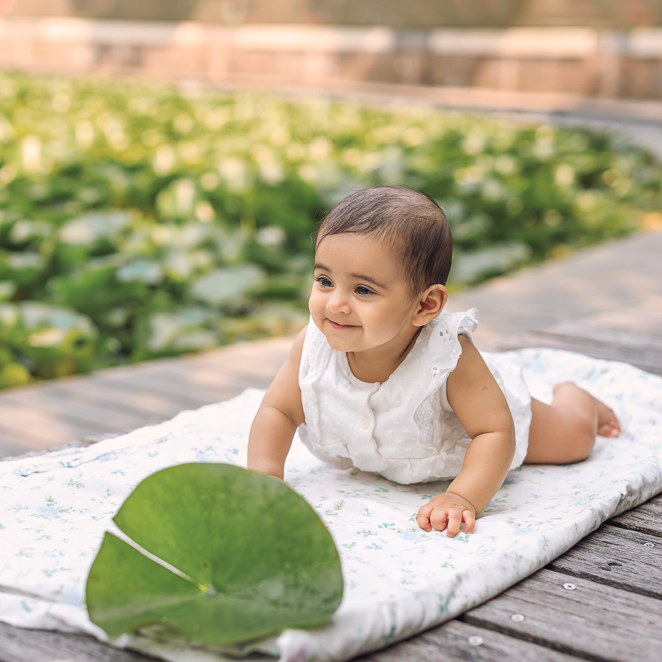 Reviews. Family photographer in Amsterdam Keicappa Photography