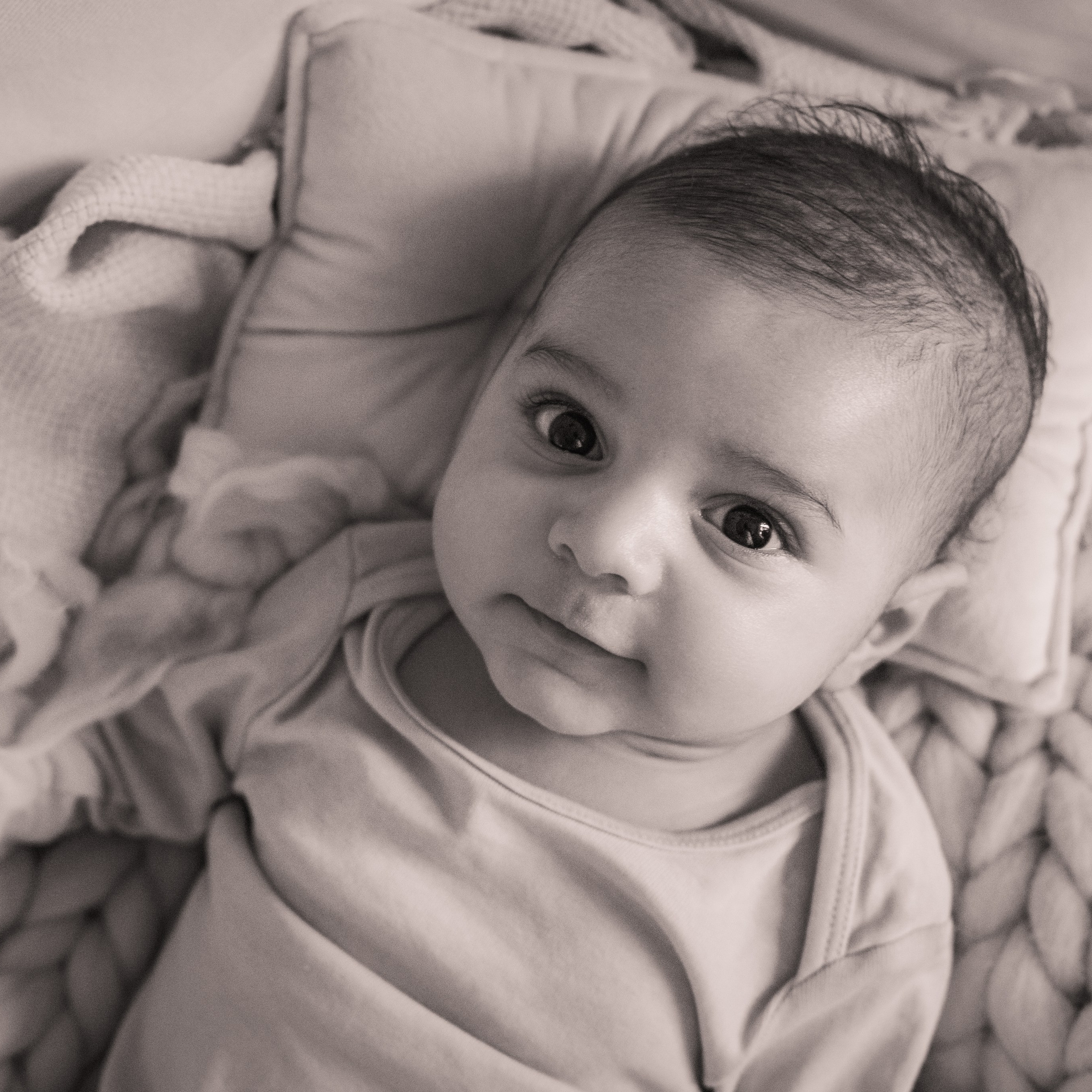 Testimonials. Maternity Newborn and Family photographer Hamburg Claire Hambley