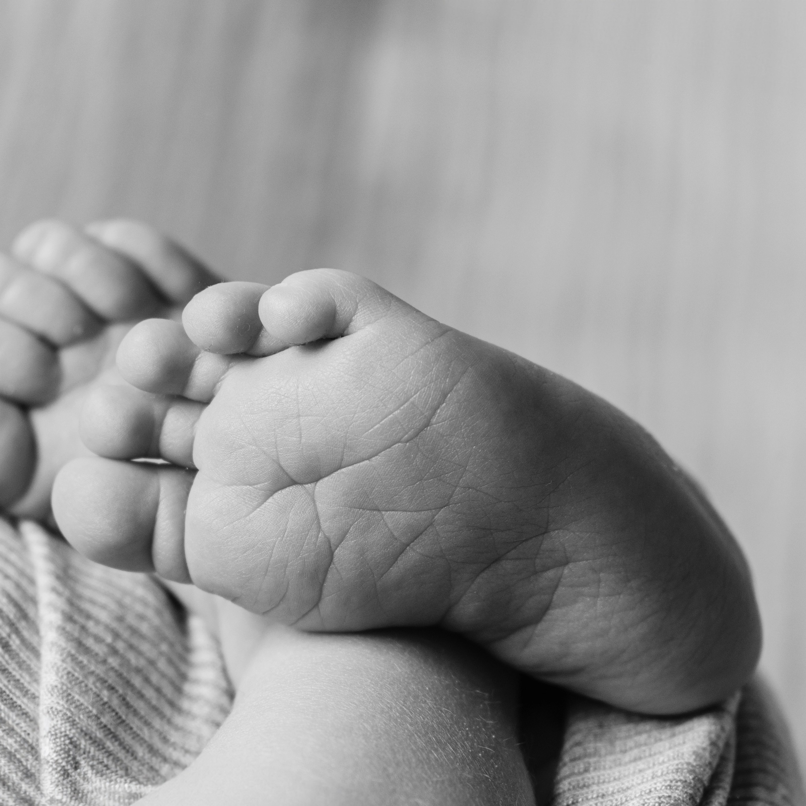 Testimonials. Maternity Newborn and Family photographer Hamburg Claire Hambley