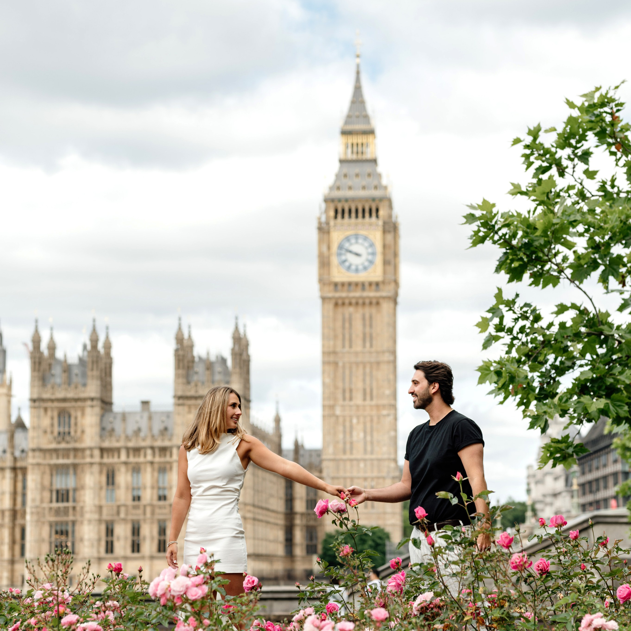 Westminster Rob&Maggie