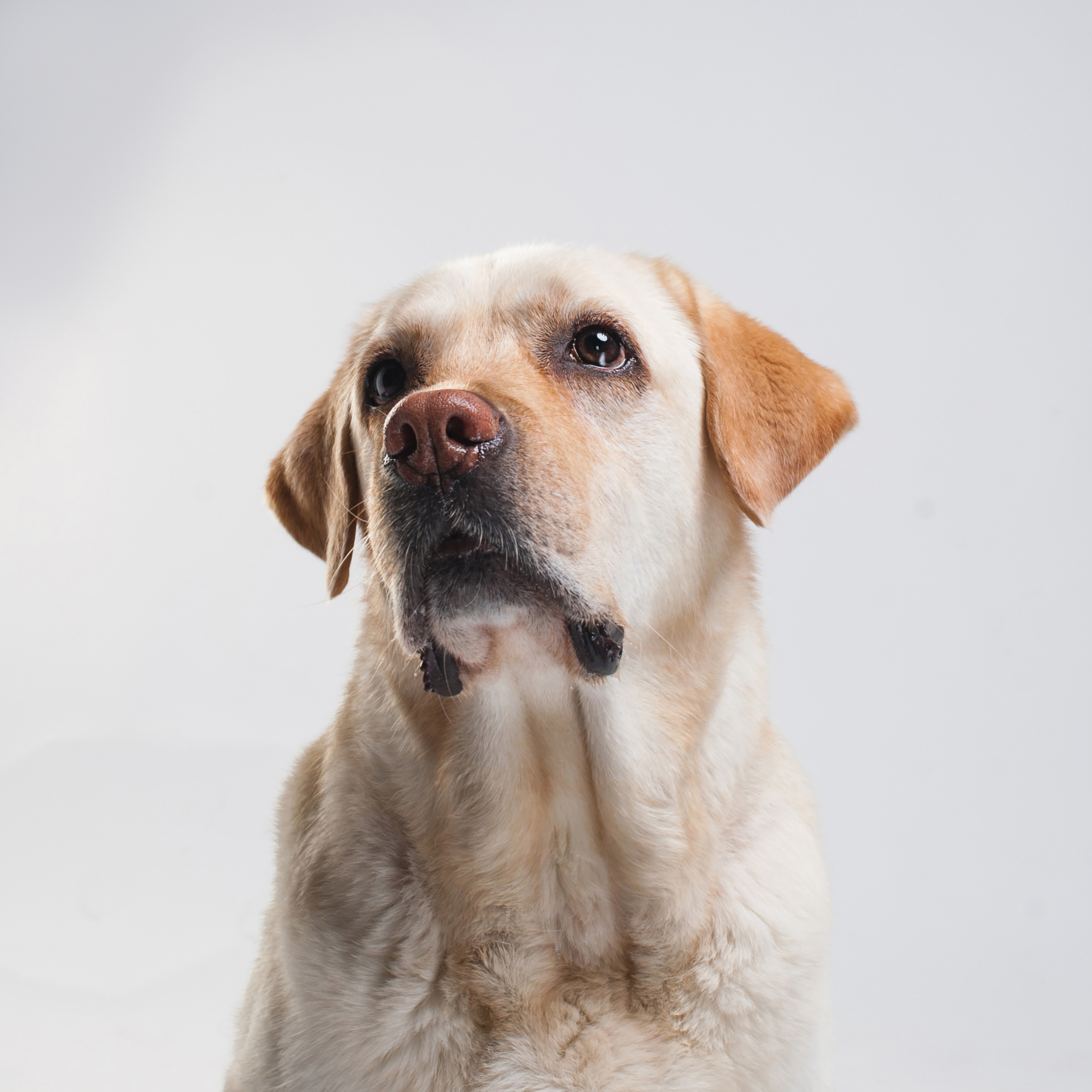 Фотопроект Мимика. Фотограф в Белграде Таня Асфирь