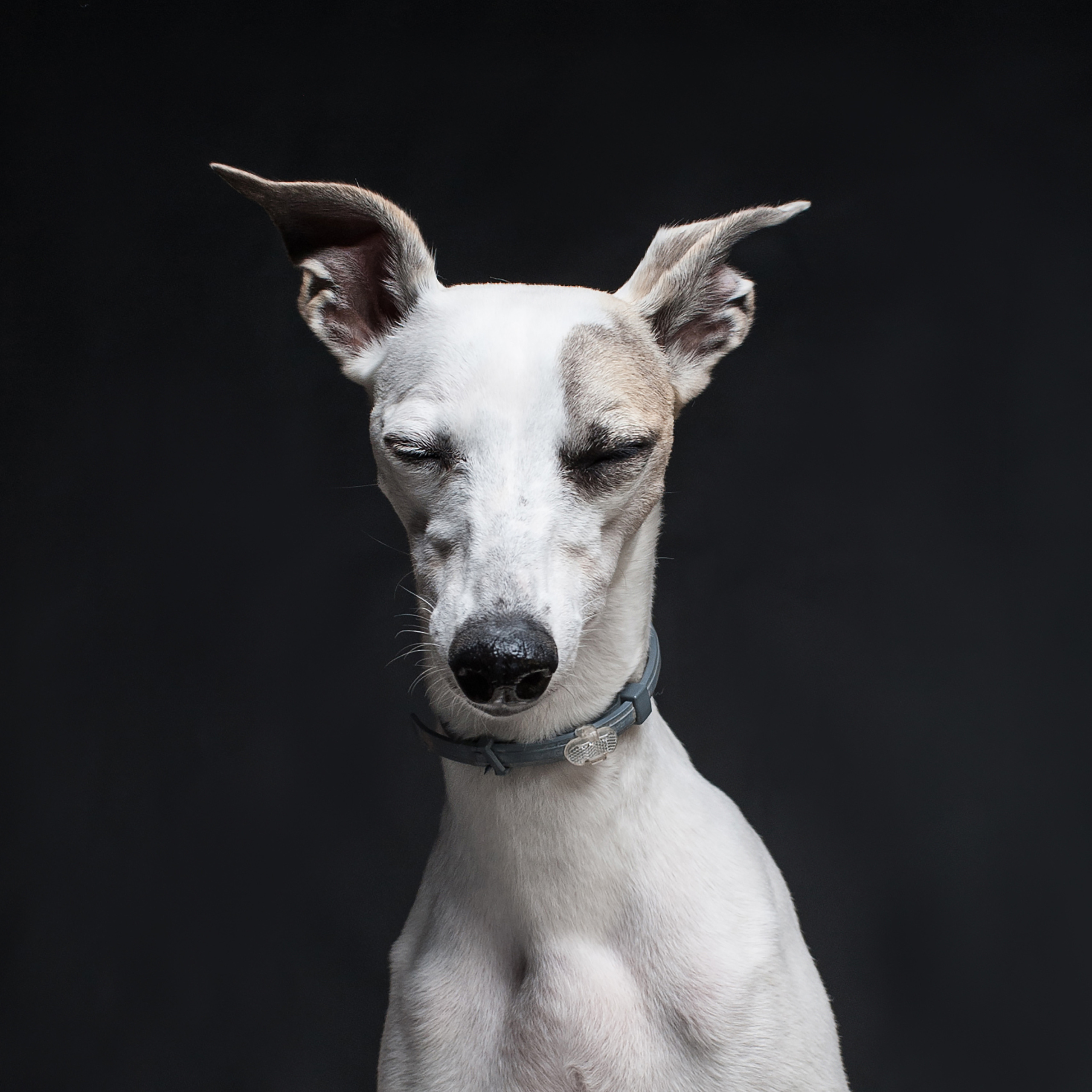 Фотопроект Мимика. Фотограф в Белграде Таня Асфирь