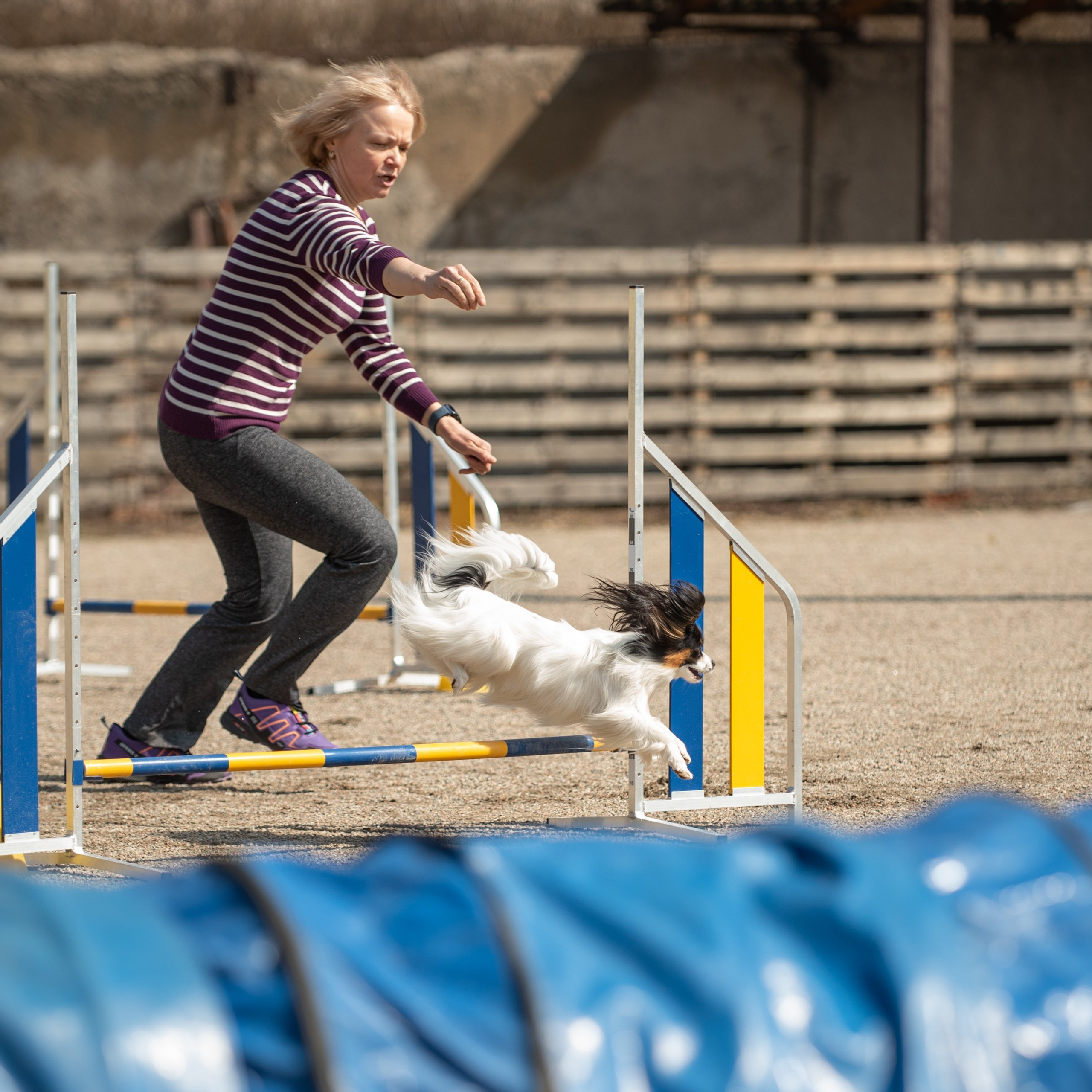 Отзывы о Таня Асфирь. Фотограф в Белграде Таня Асфирь