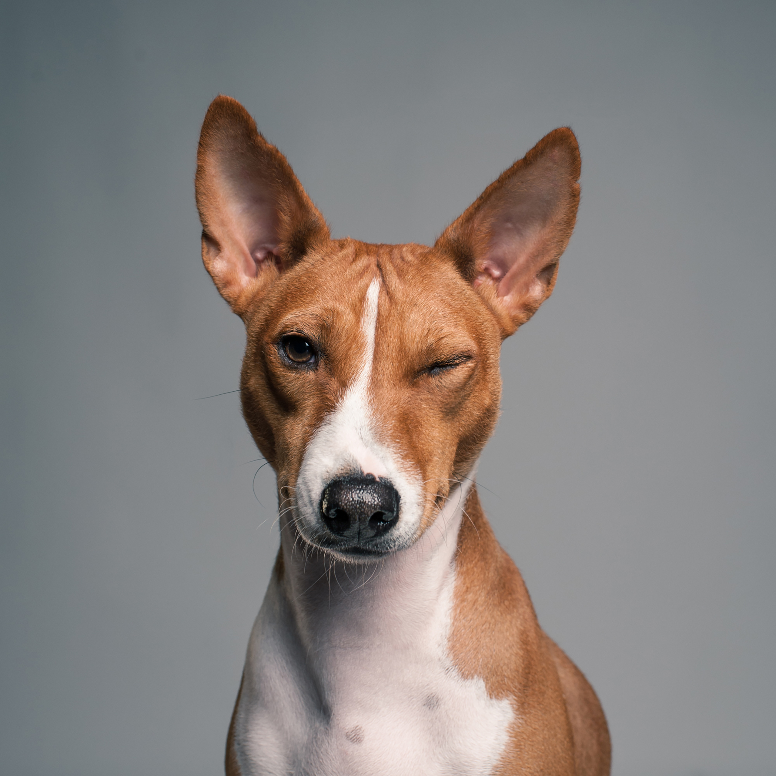 Фотопроект Мимика. Фотограф в Белграде Таня Асфирь