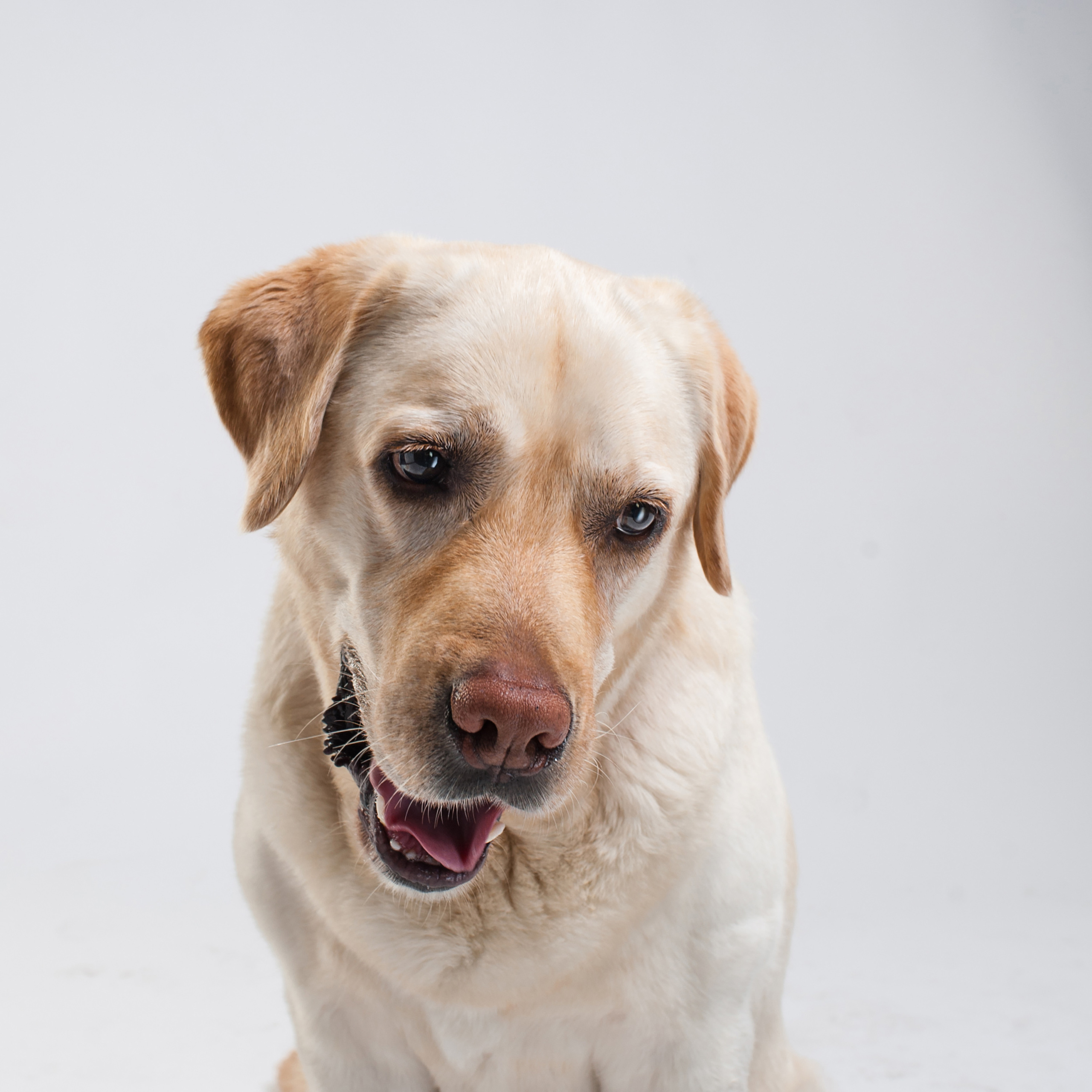 Фотопроект Мимика. Фотограф в Белграде Таня Асфирь