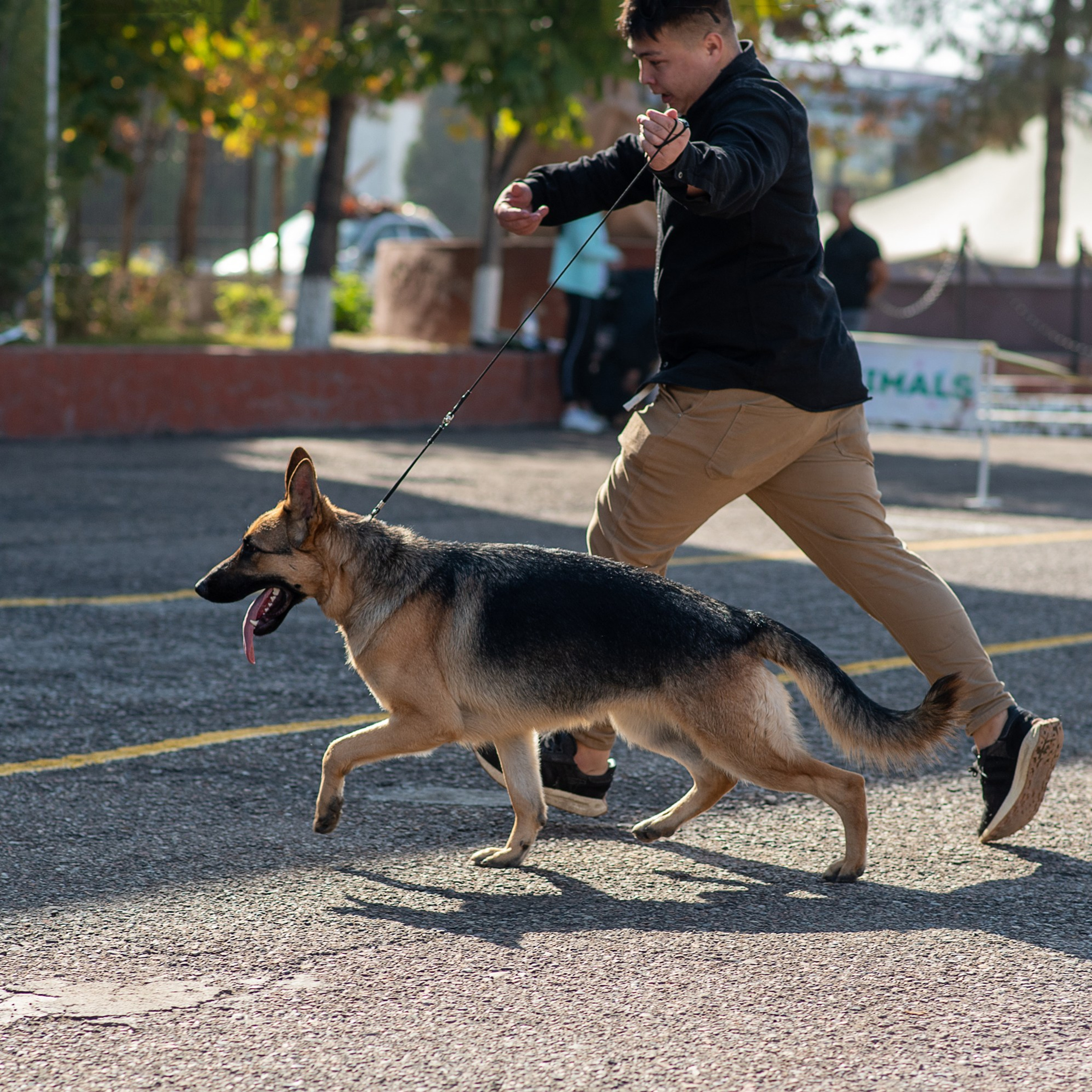 Отзывы о Таня Асфирь. Фотограф в Белграде Таня Асфирь