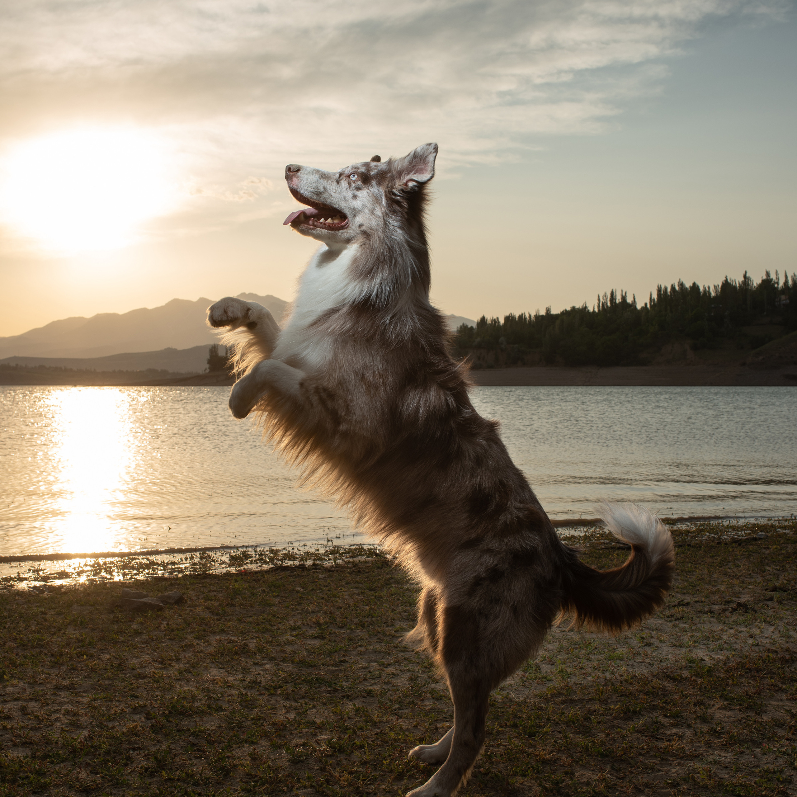 Отзывы о Таня Асфирь. Фотограф в Белграде Таня Асфирь