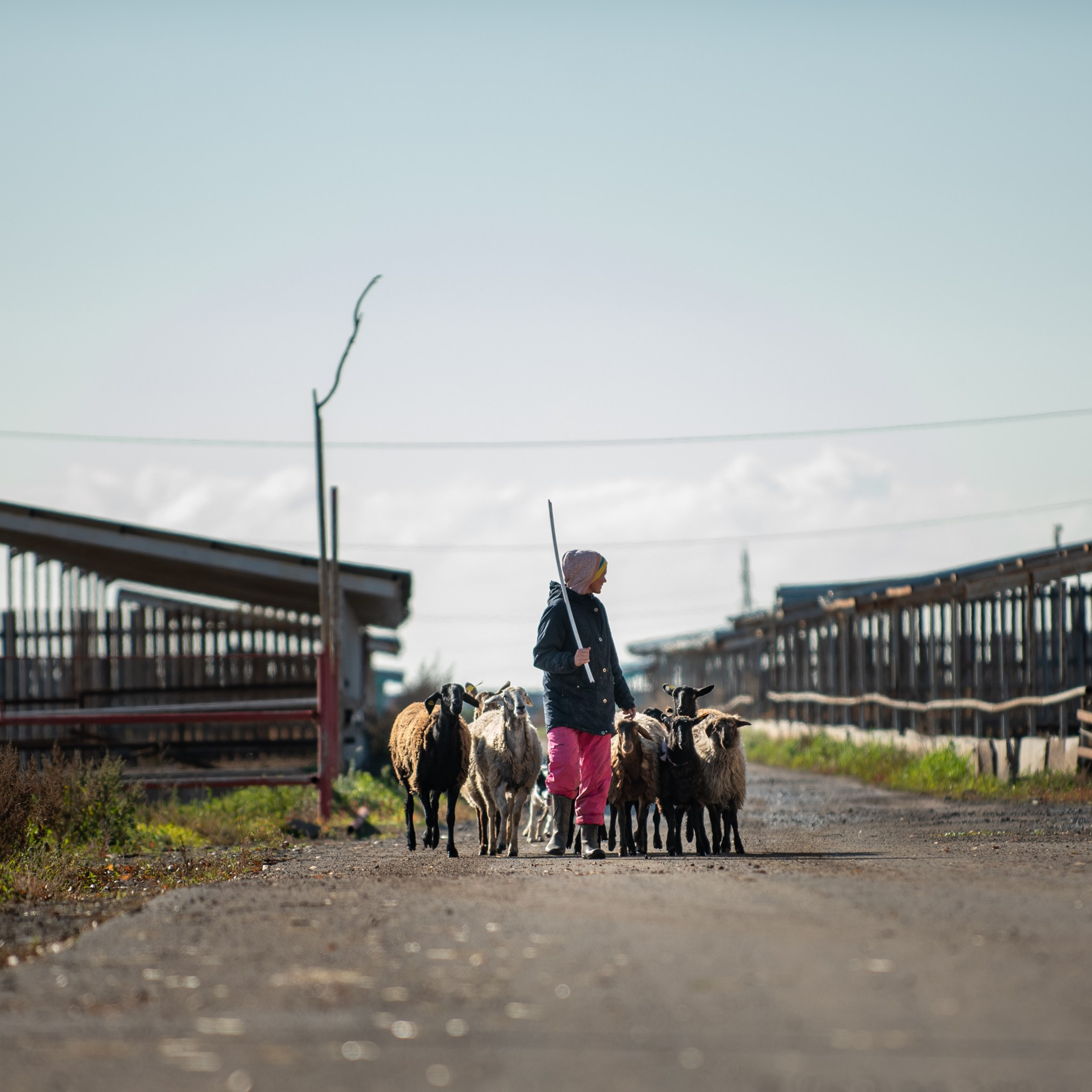 Отзывы о Таня Асфирь. Фотограф в Белграде Таня Асфирь
