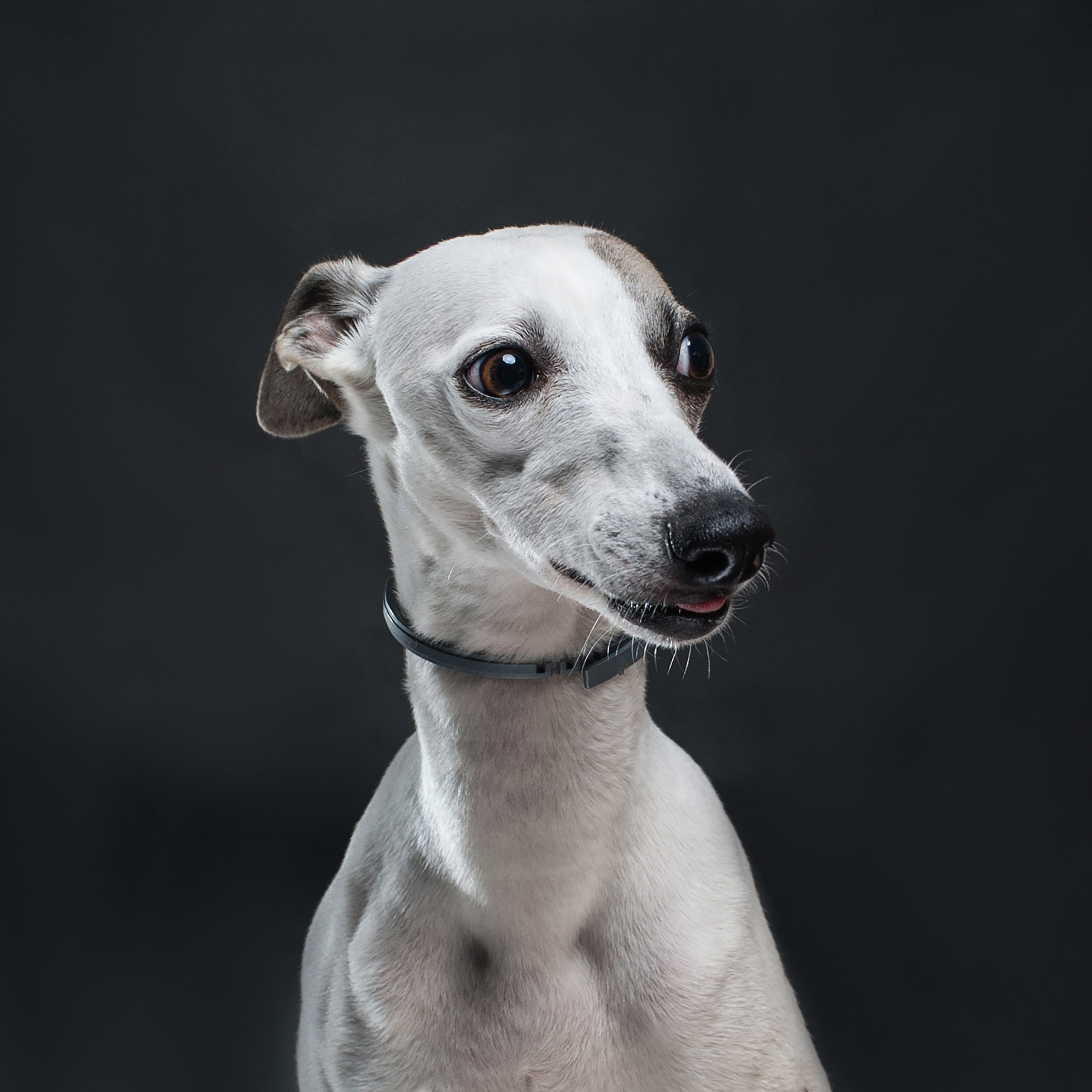 Фотопроект Мимика. Фотограф в Белграде Таня Асфирь