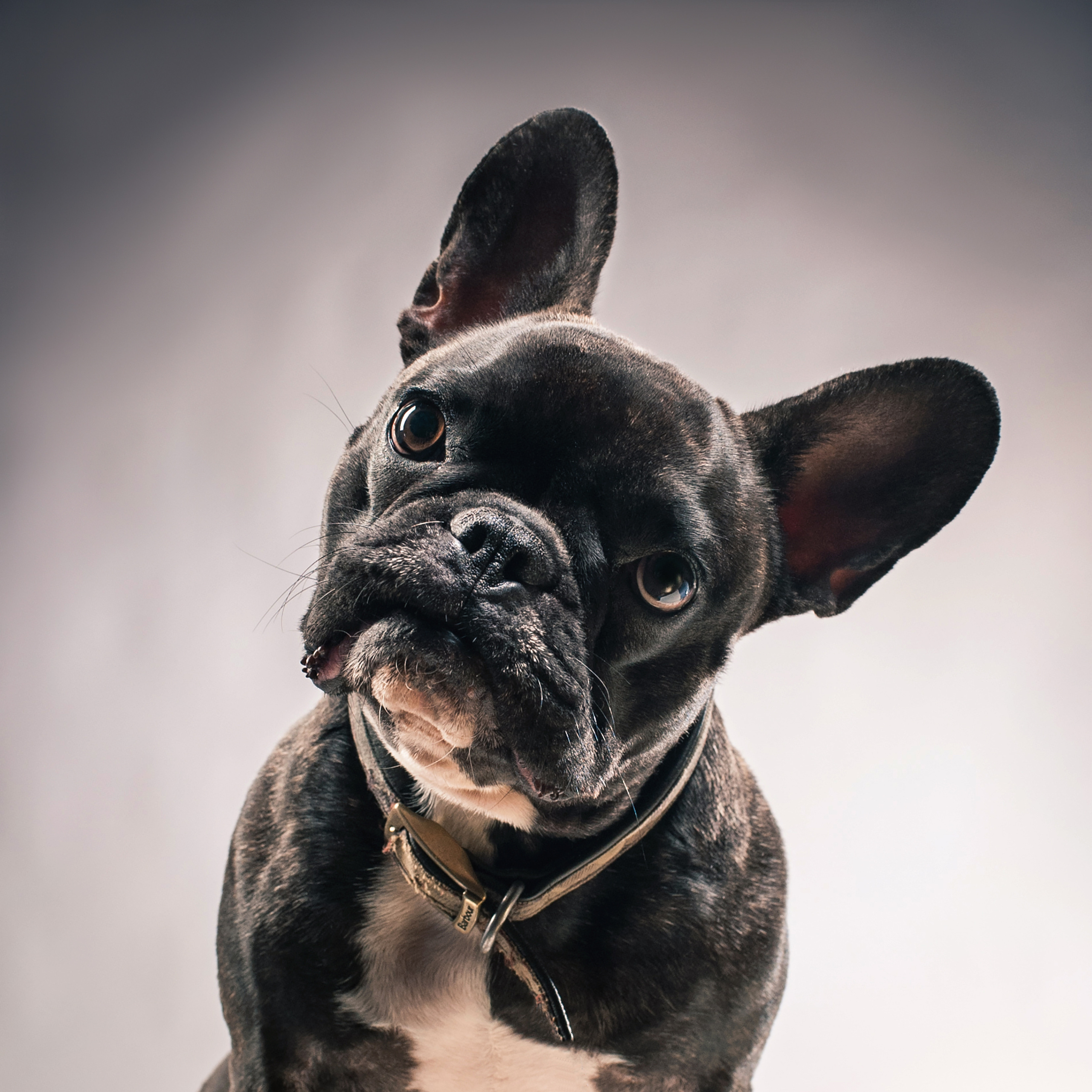 Фотопроект Мимика. Фотограф в Белграде Таня Асфирь