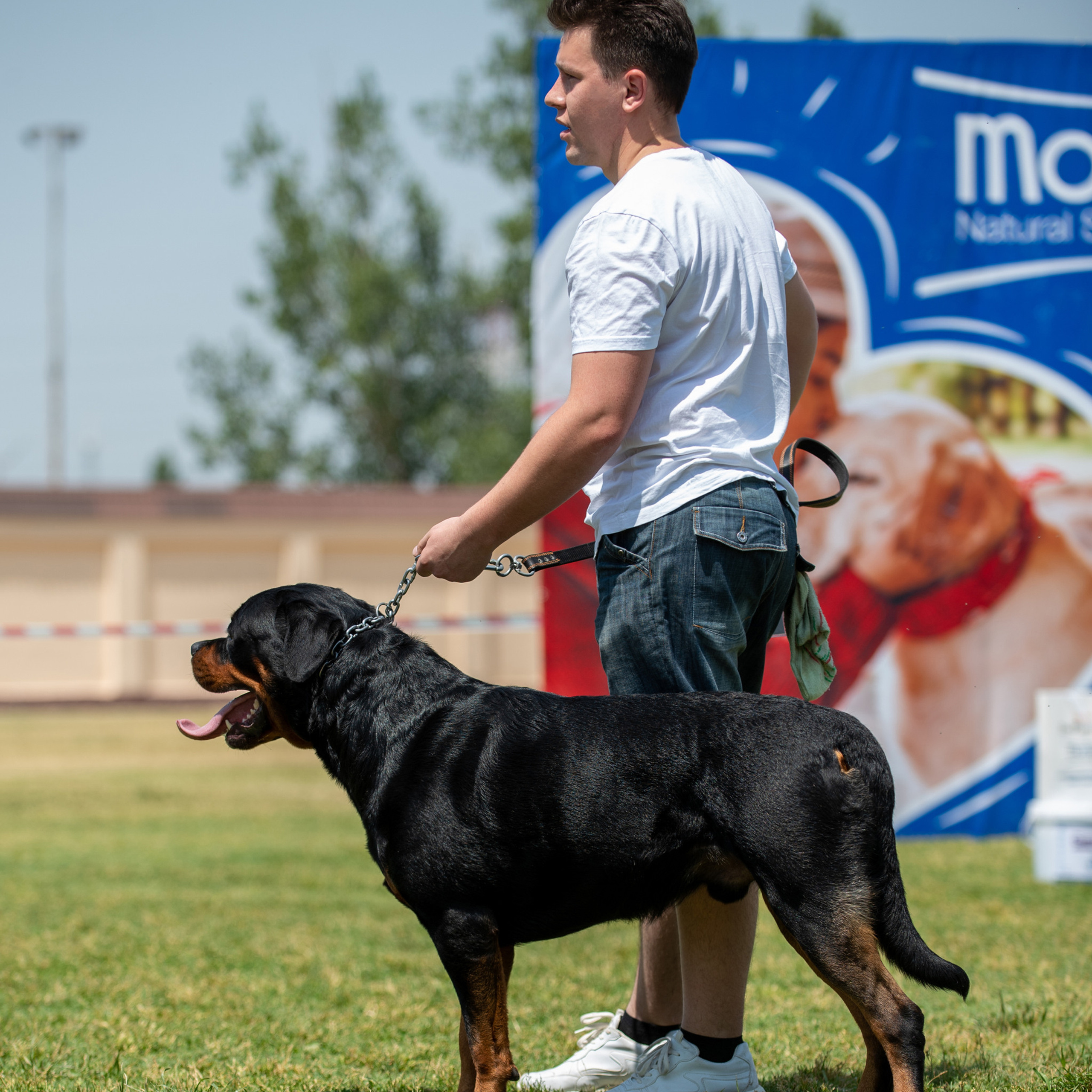 Отзывы о Таня Асфирь. Фотограф в Белграде Таня Асфирь