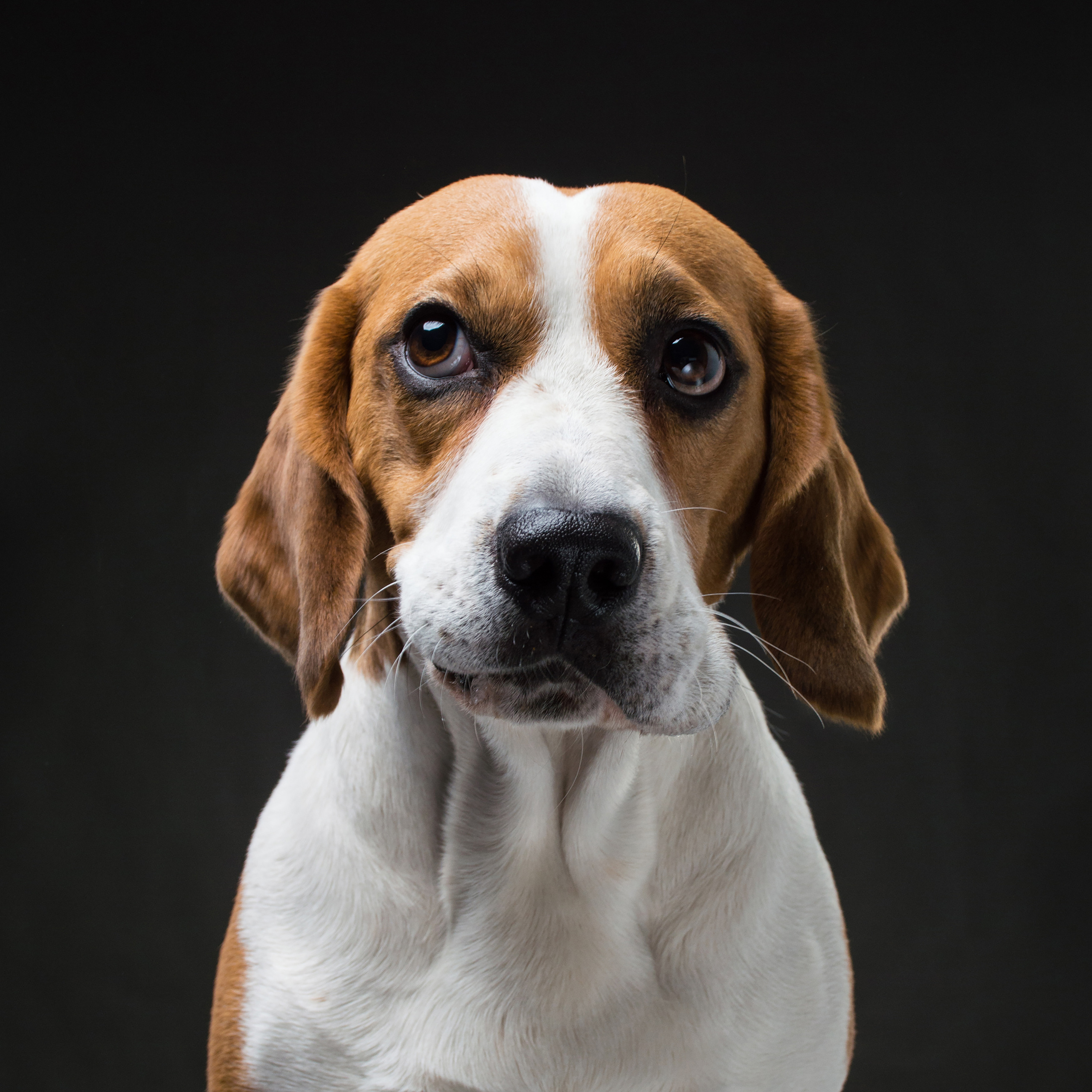 Фотопроект Мимика. Фотограф в Белграде Таня Асфирь