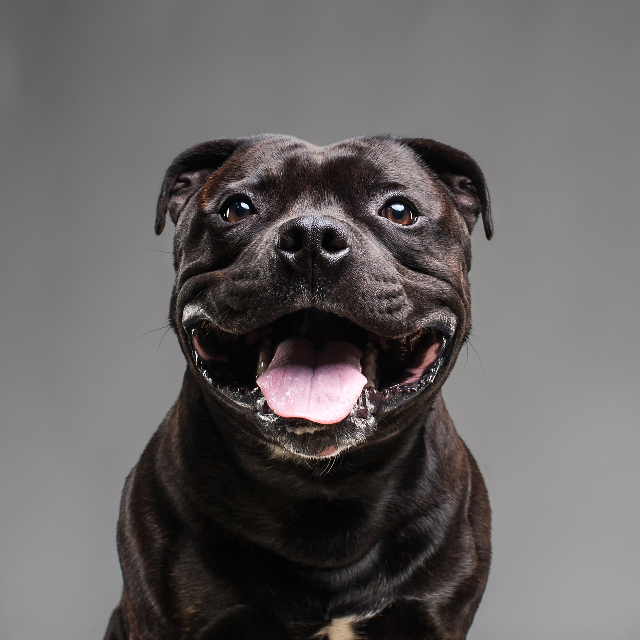 Фотопроект Мимика. Фотограф в Белграде Таня Асфирь