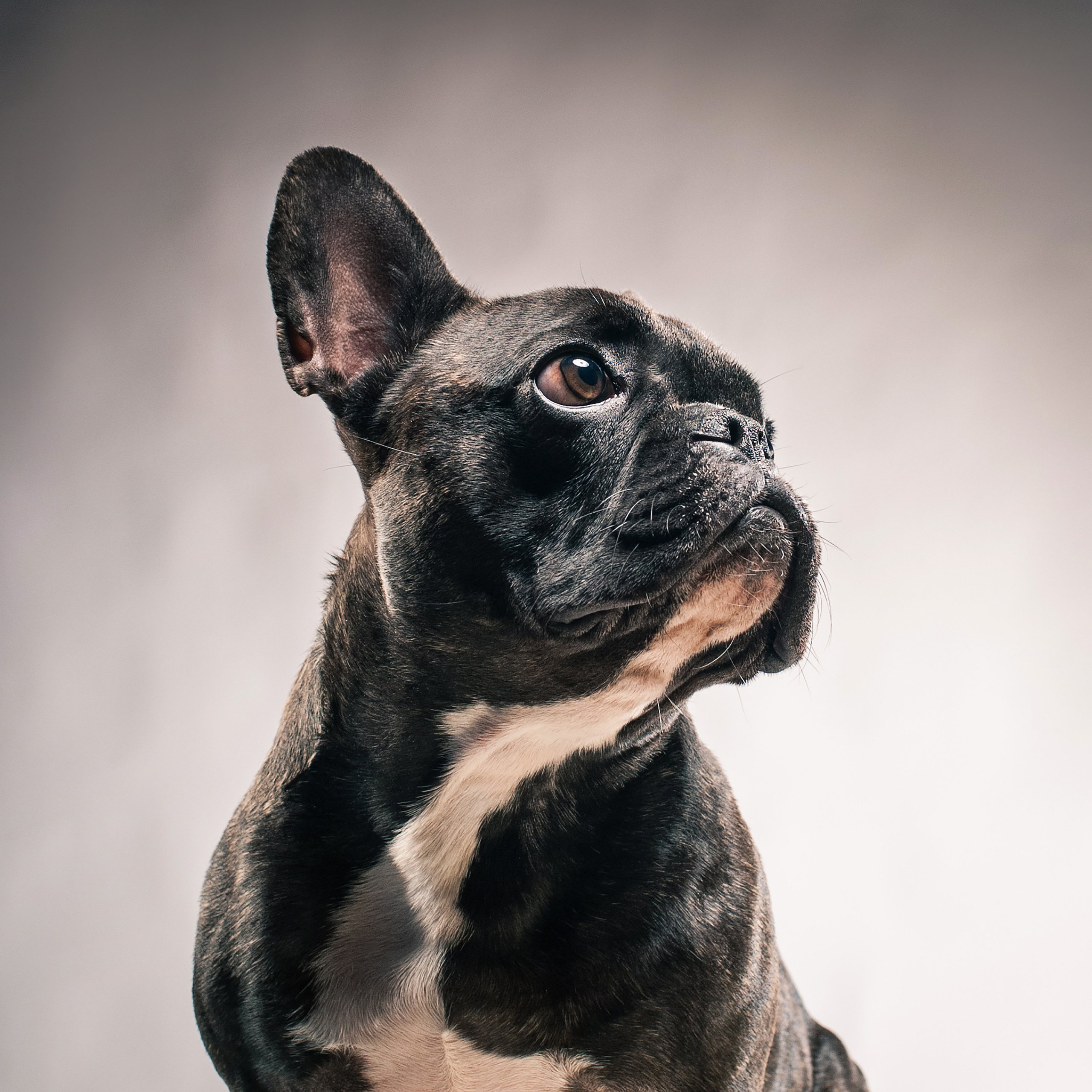 Фотопроект Мимика. Фотограф в Белграде Таня Асфирь