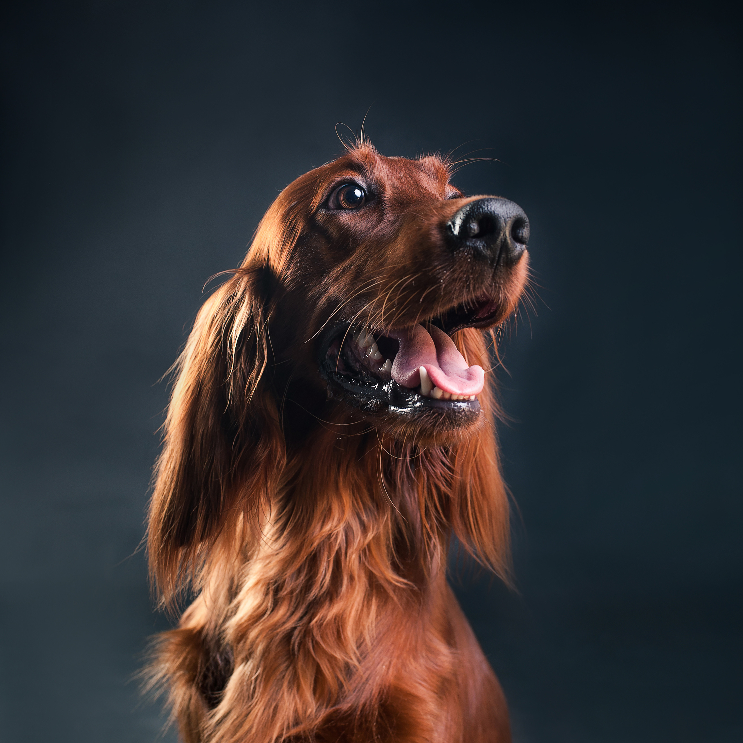 Фотопроект Мимика. Фотограф в Белграде Таня Асфирь