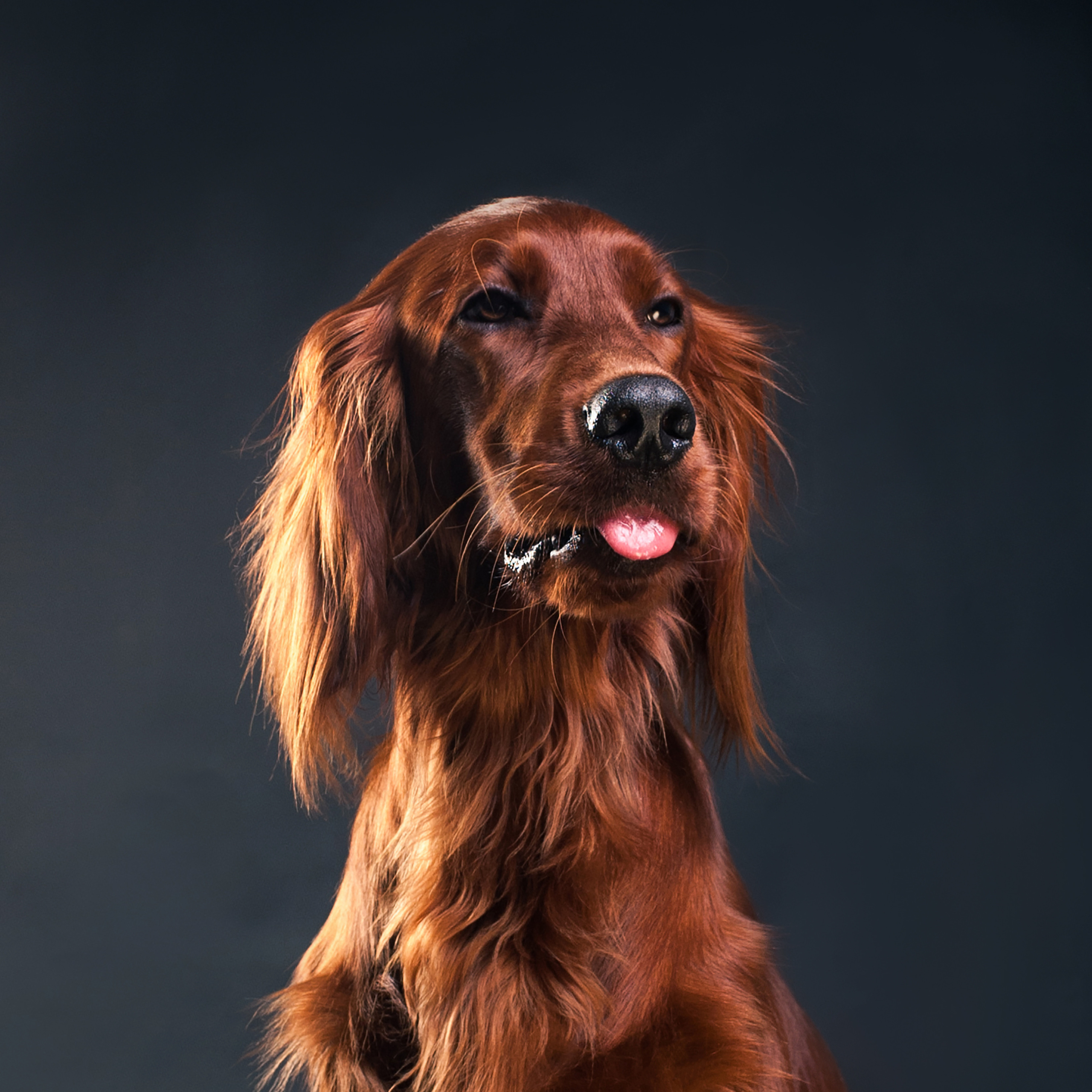 Фотопроект Мимика. Фотограф в Белграде Таня Асфирь