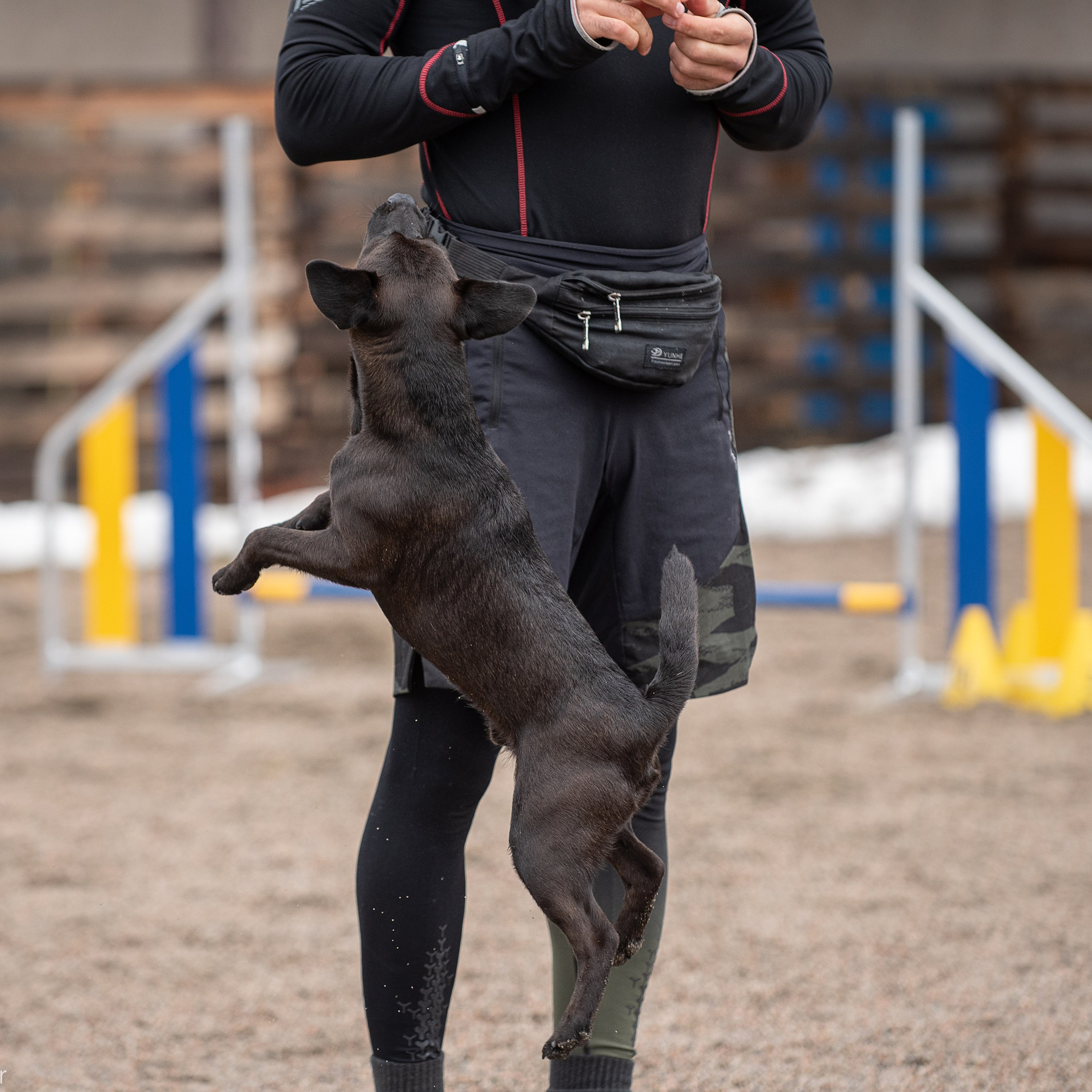 Отзывы о Таня Асфирь. Фотограф в Белграде Таня Асфирь