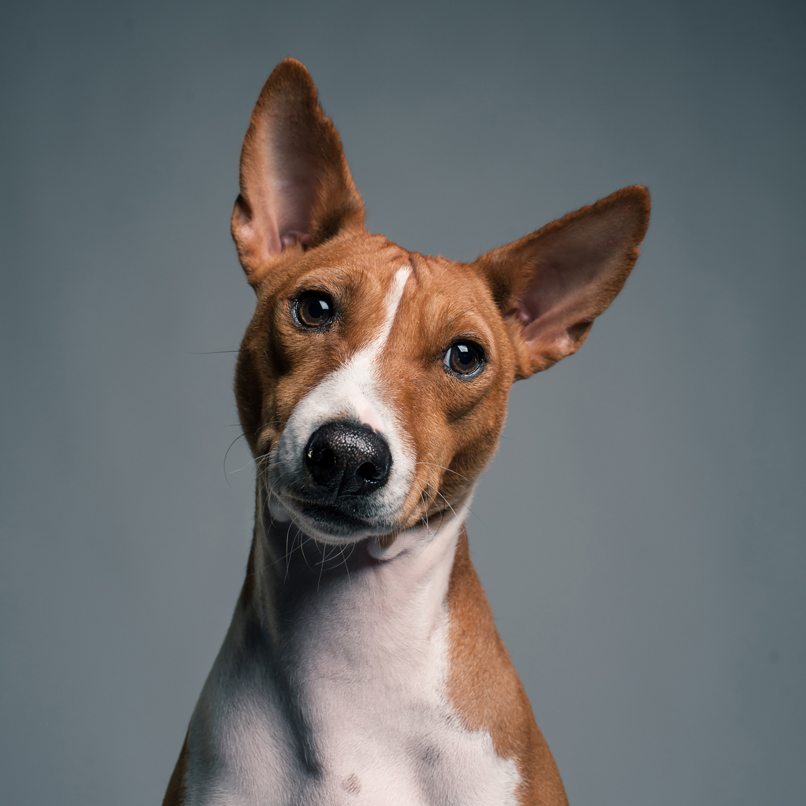 Фотопроект Мимика. Фотограф в Белграде Таня Асфирь