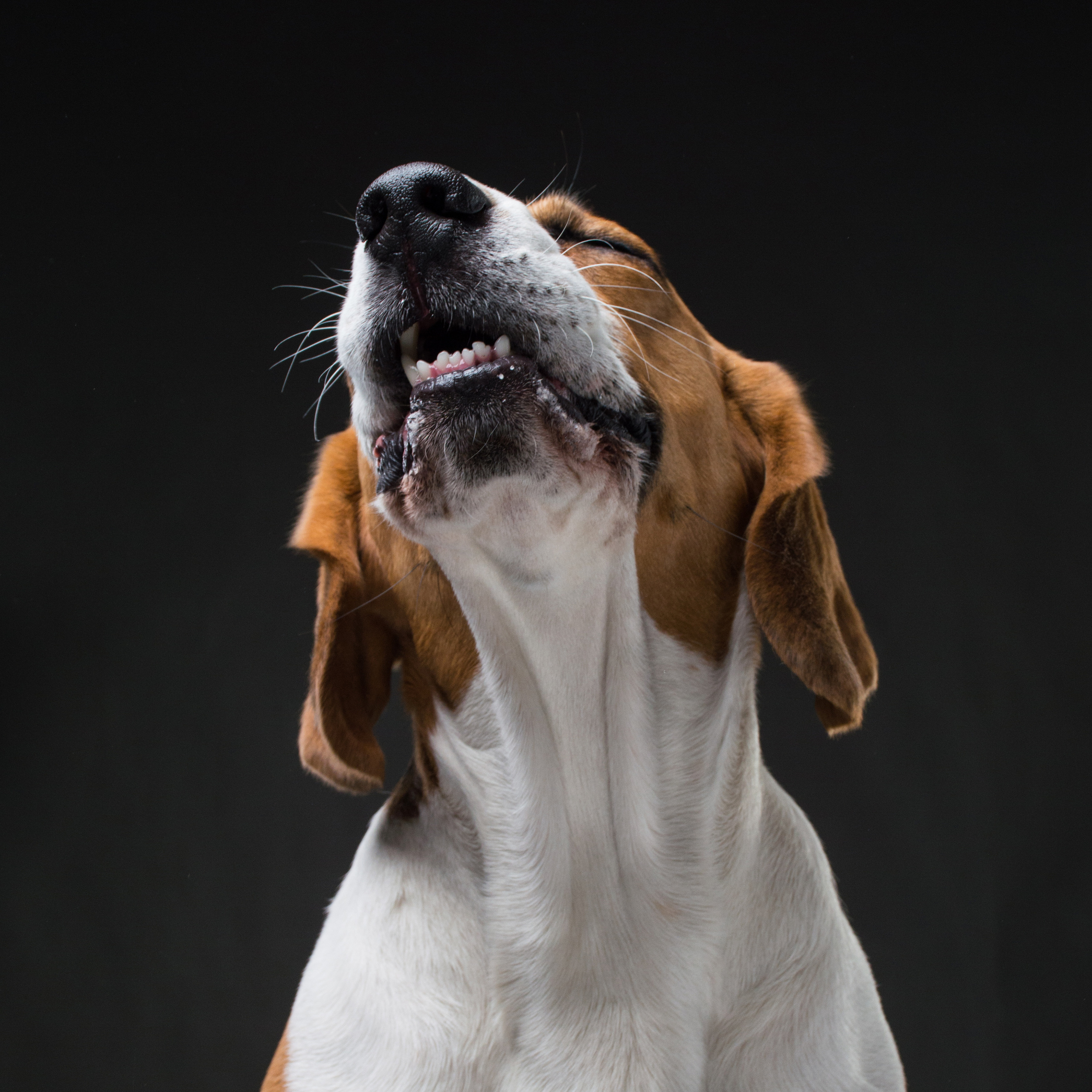 Фотопроект Мимика. Фотограф в Белграде Таня Асфирь