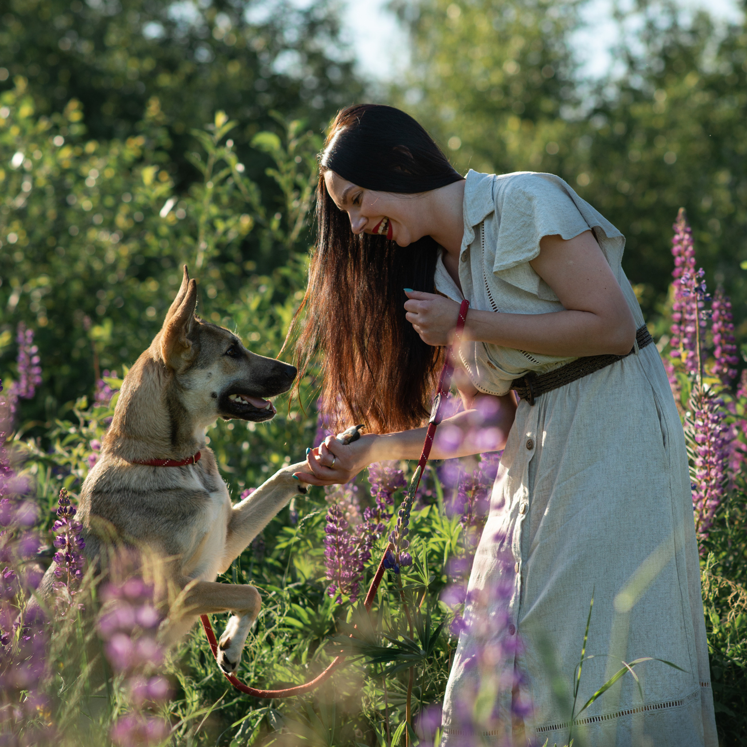Отзывы о Таня Асфирь. Фотограф в Белграде Таня Асфирь